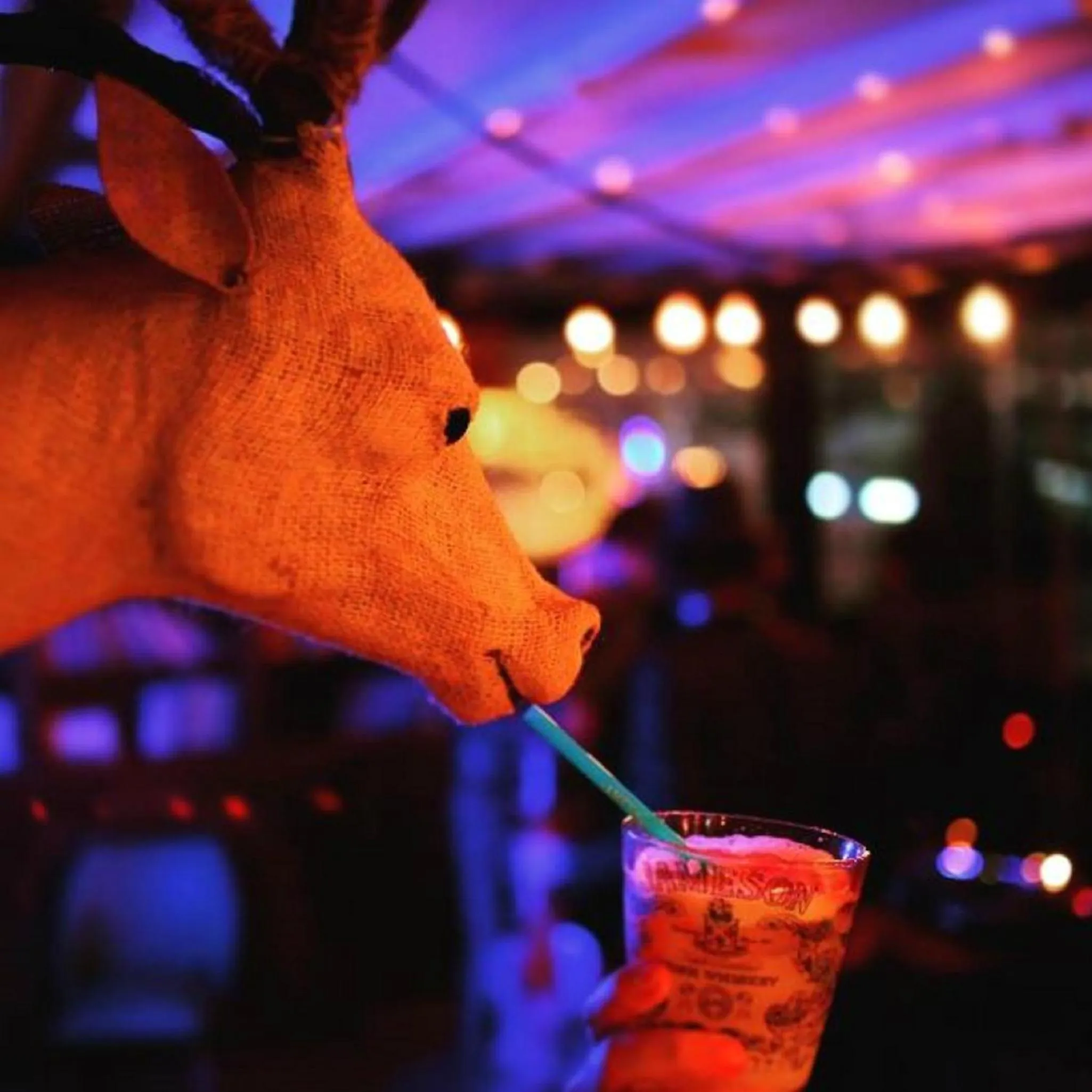 Activities in SuB Karakoy - Special Category