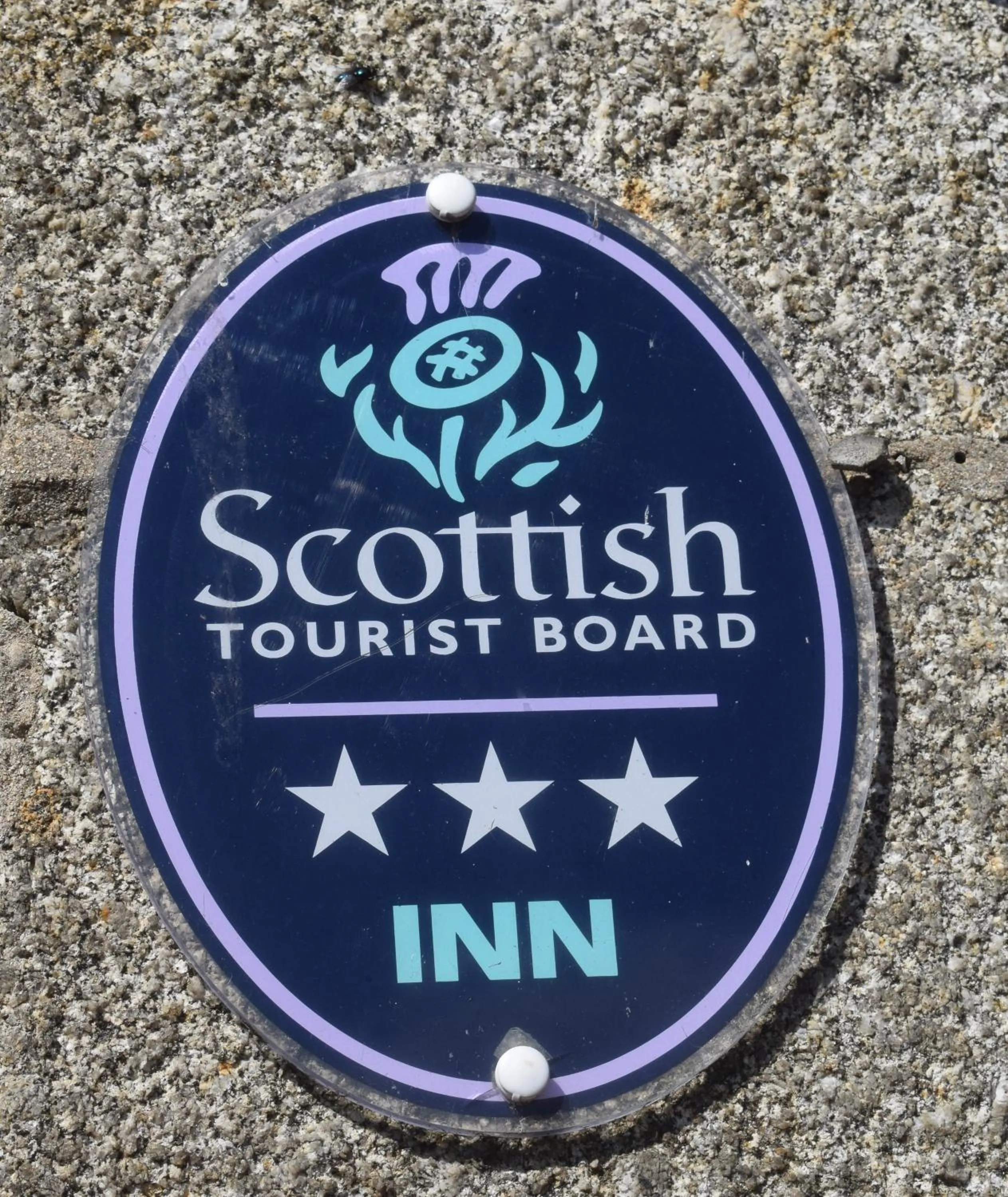 Certificate/Award in Cheers Cafe Bar & Tavern