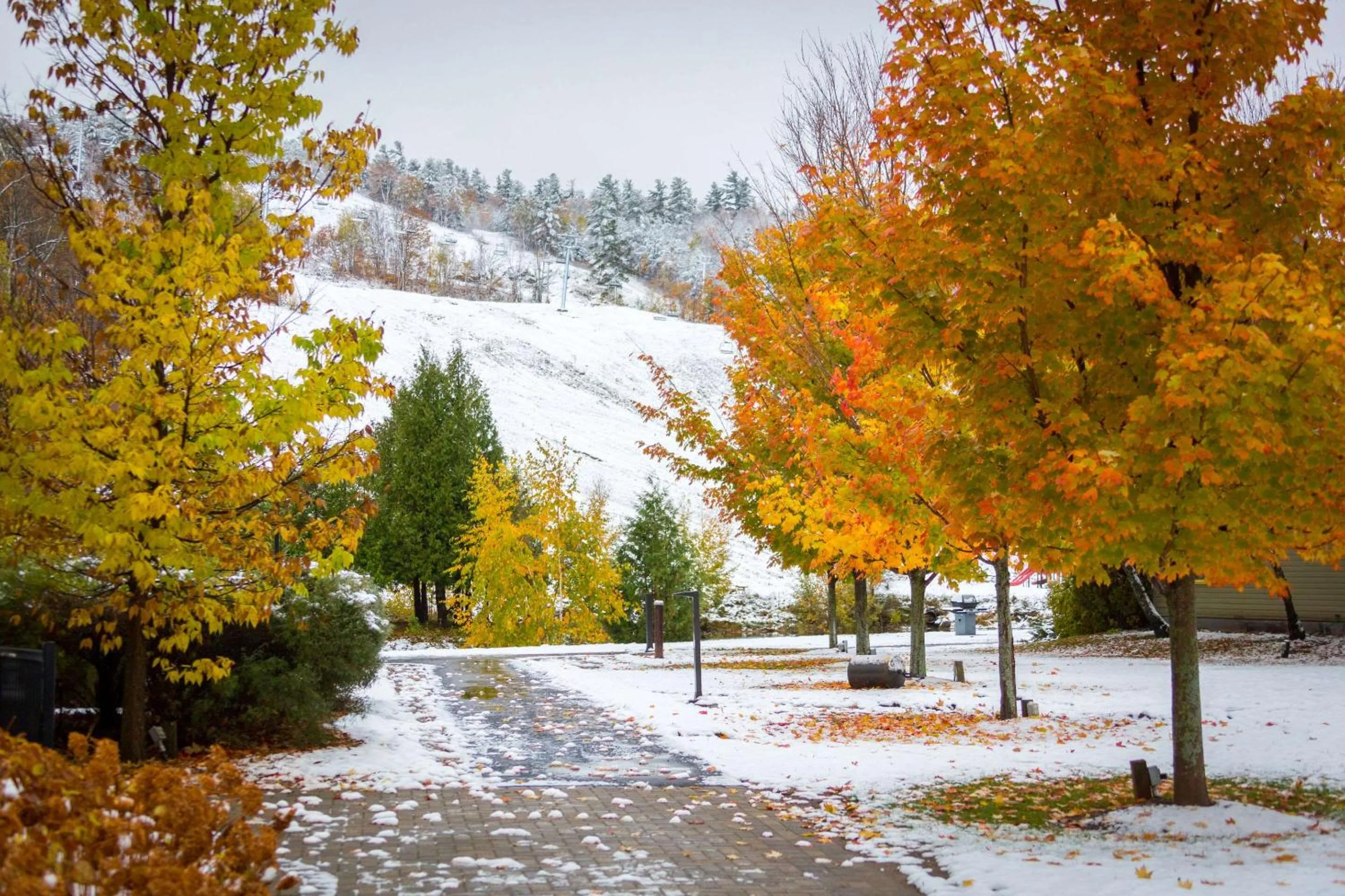 Property building in Calabogie Peaks Hotel, Ascend Hotel Member