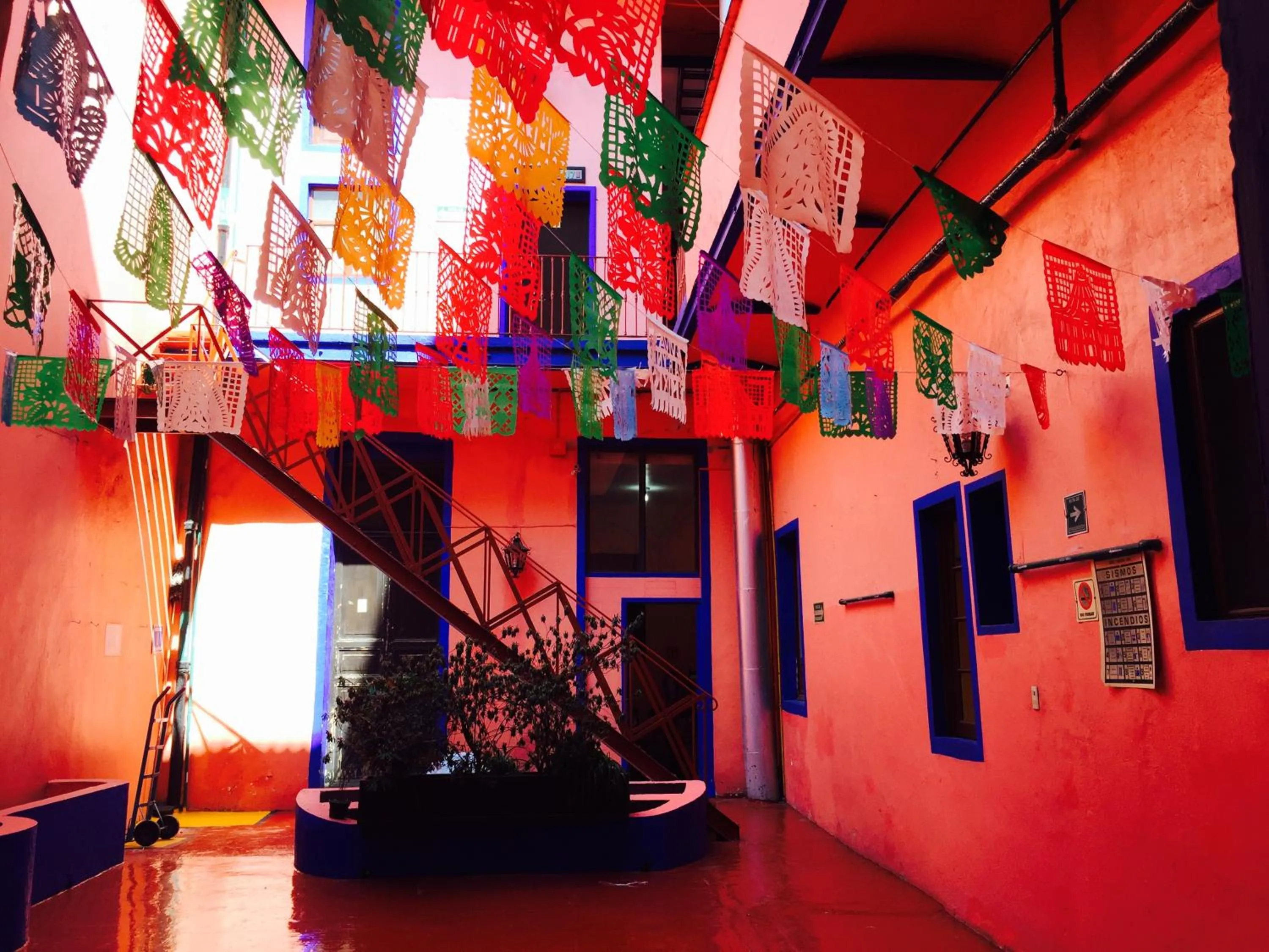 Patio in Hotel Isabel