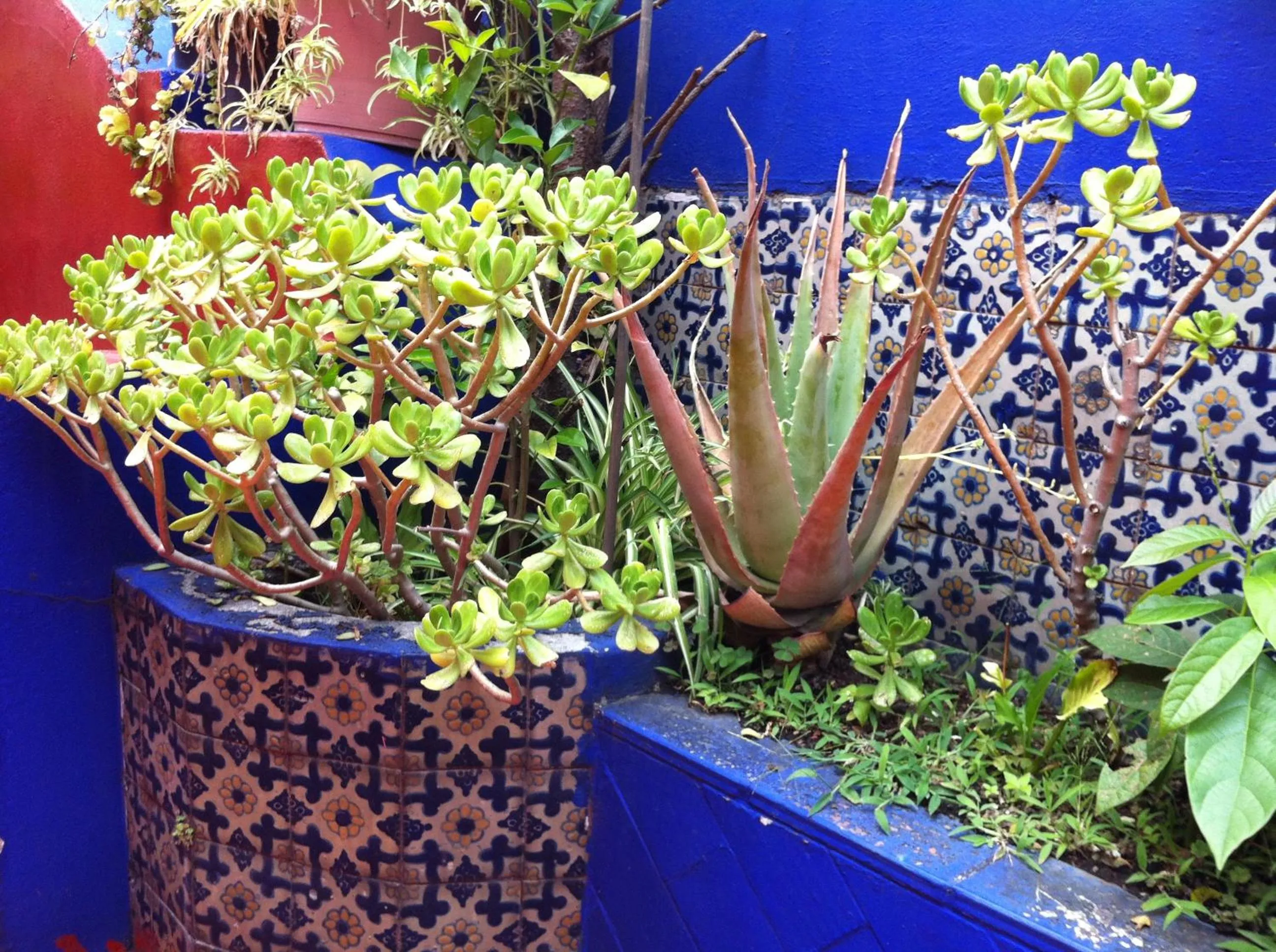 Patio in Hotel Isabel