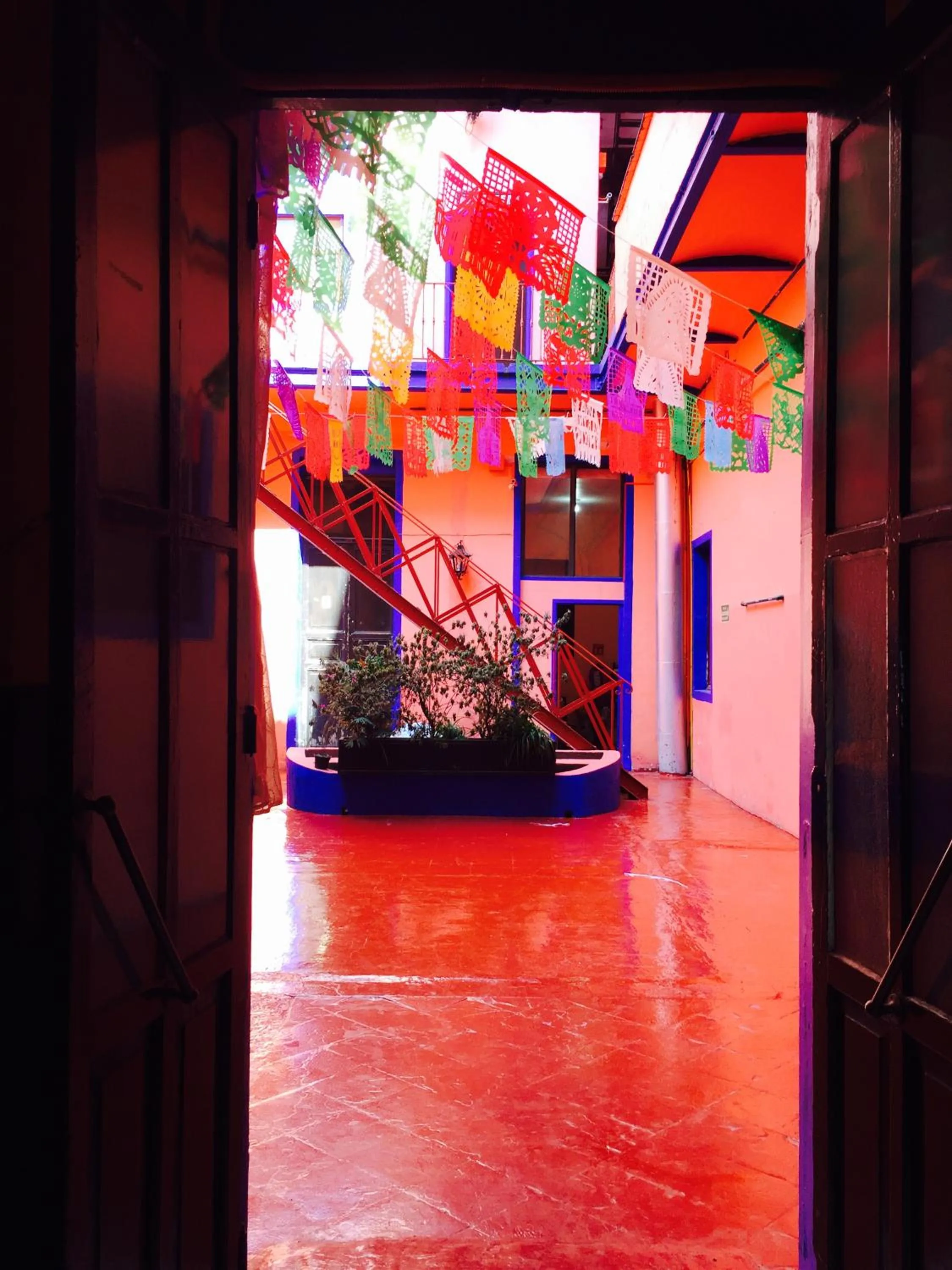 Patio in Hotel Isabel