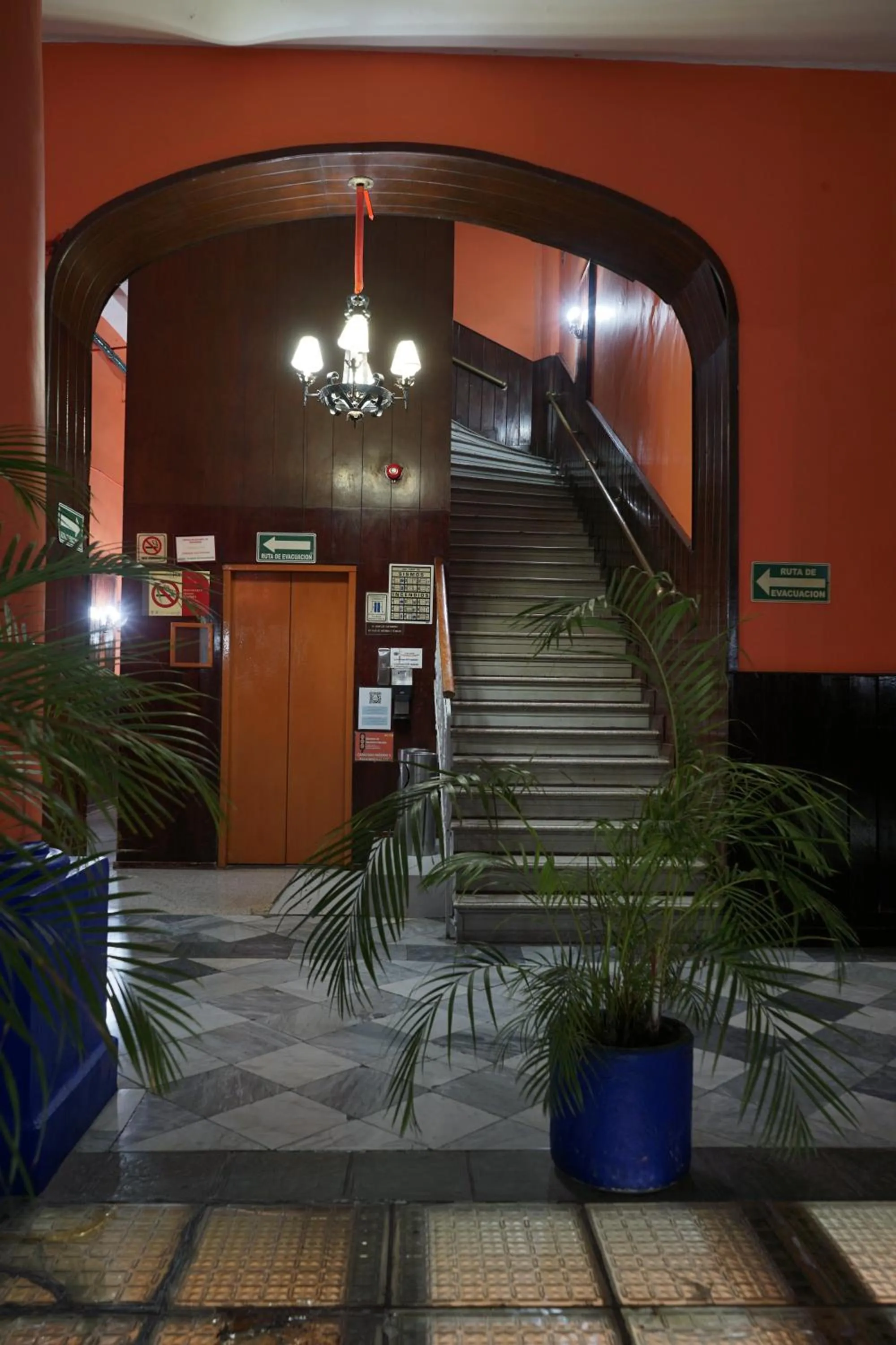 Area and facilities in Hotel Isabel