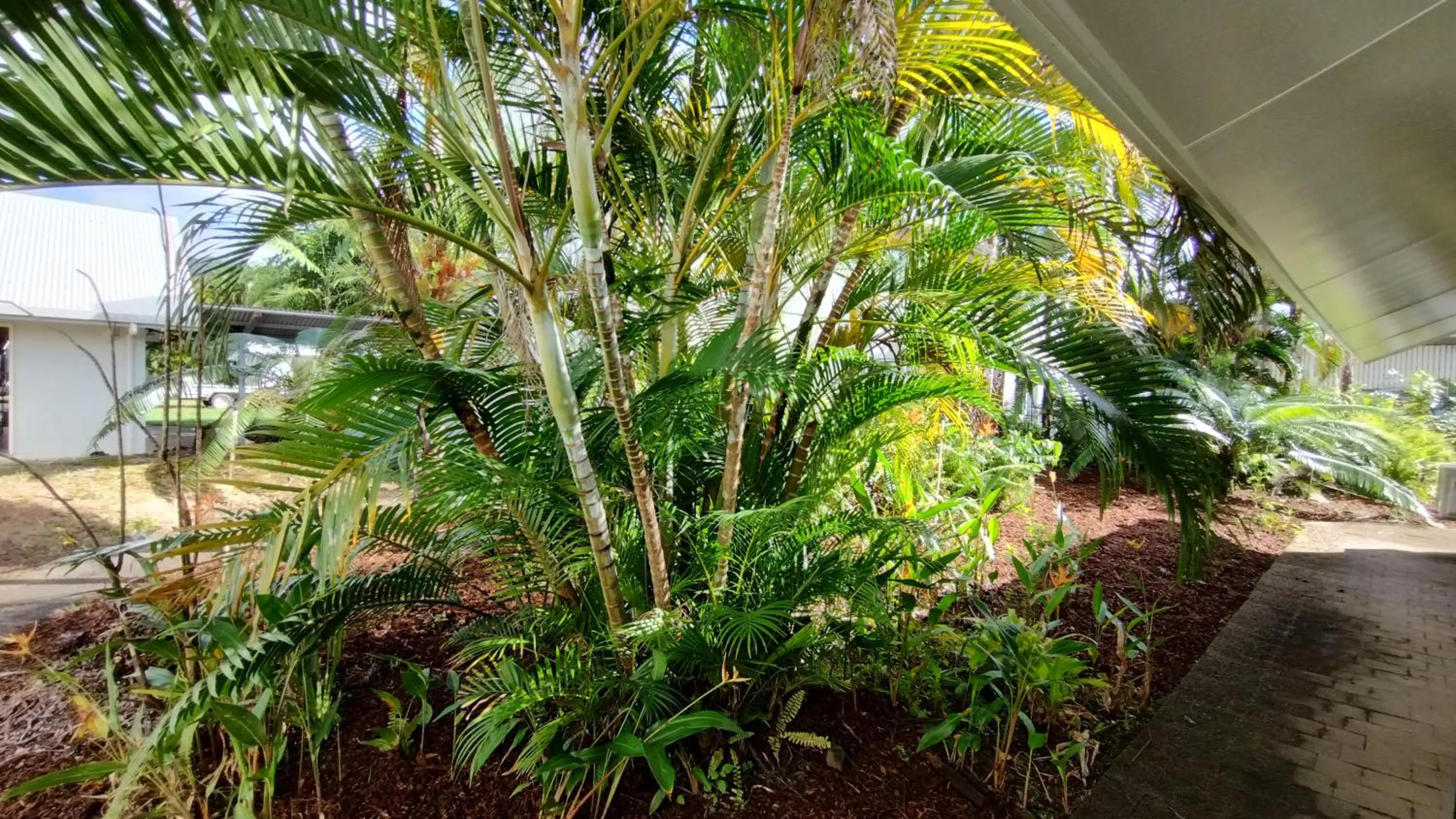 Garden in Tully Motel