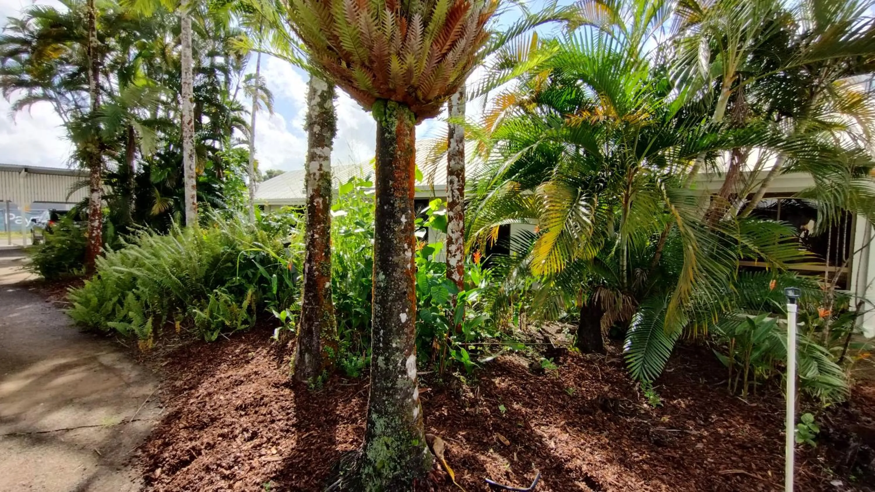 Garden in Tully Motel