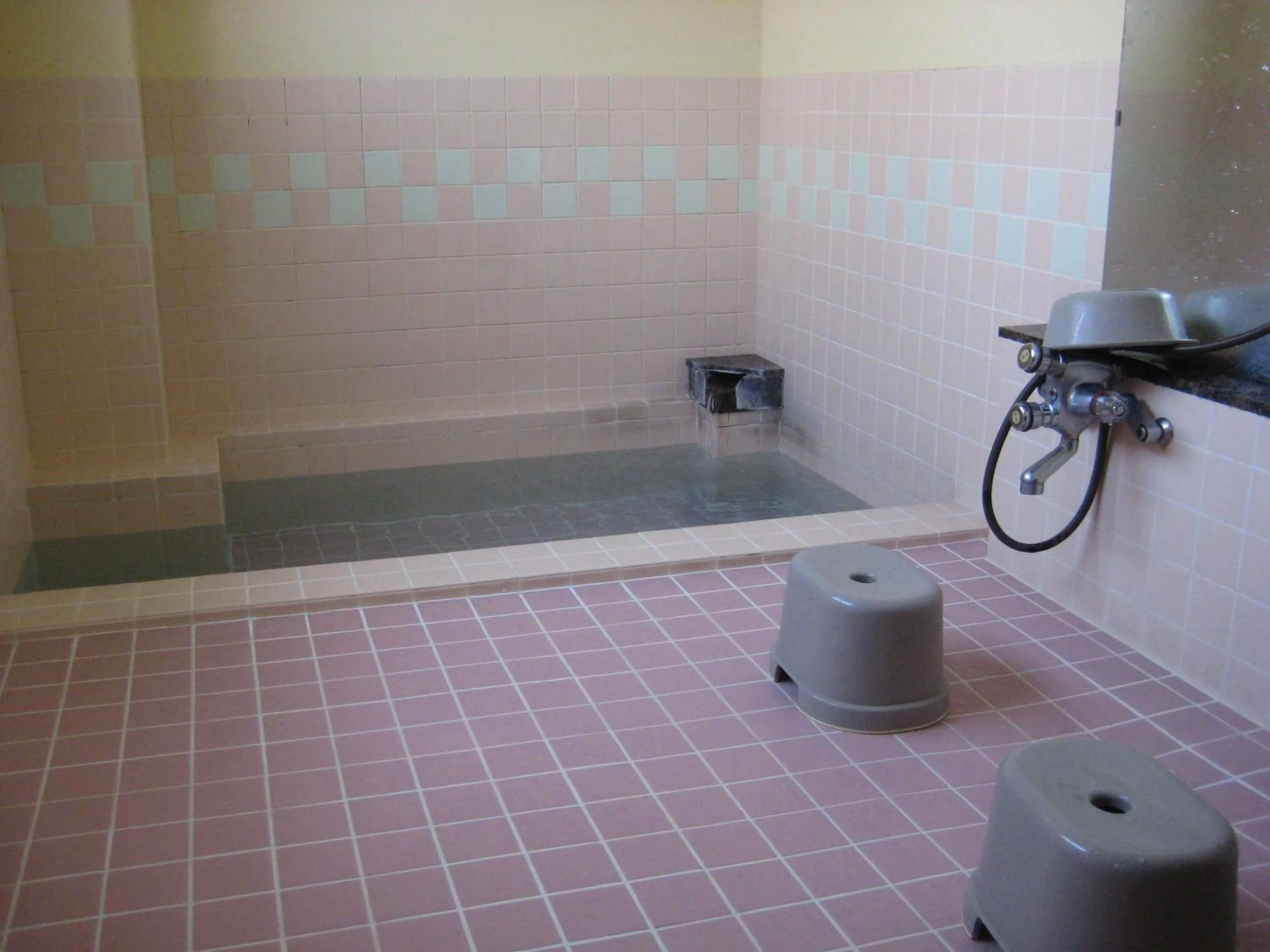 Swimming pool in Peanuts House Kumakuma