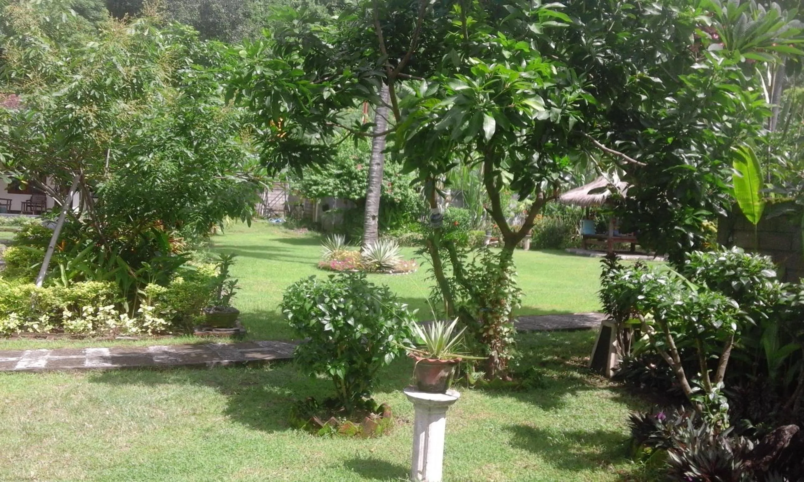 Garden in Indah Homestay and Cooking classes