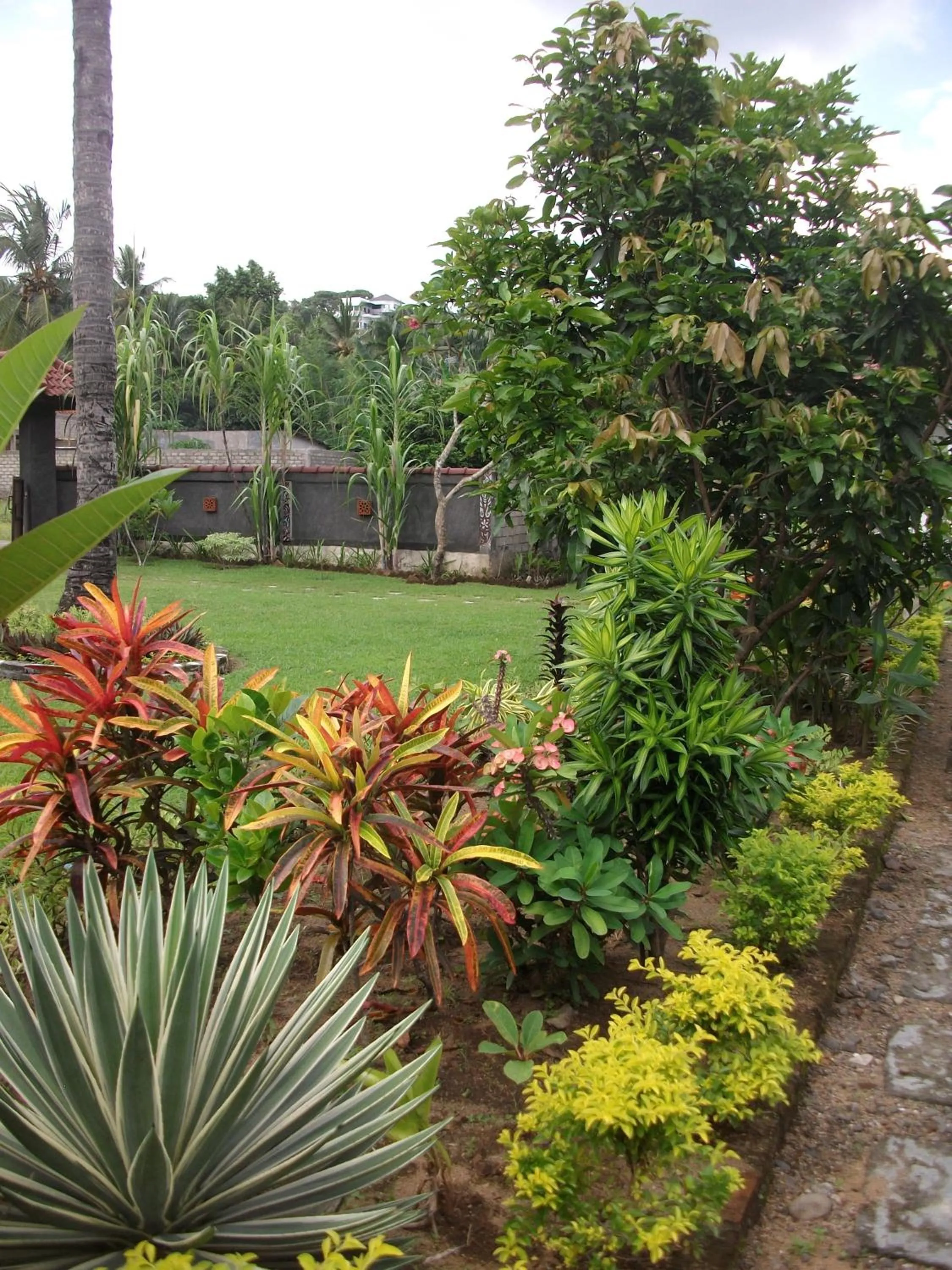 Garden in Indah Homestay and Cooking classes