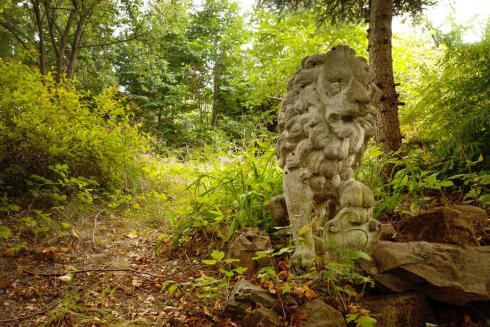 Garden in KrakowHouse