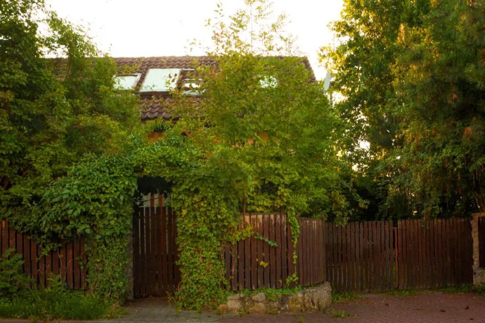 Garden in KrakowHouse
