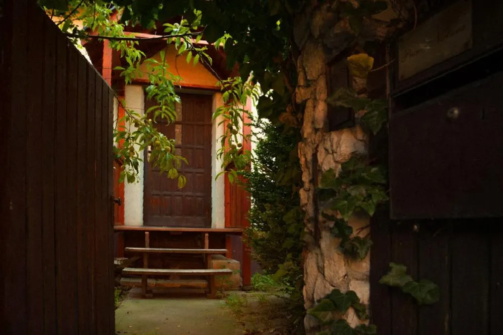 Garden in KrakowHouse