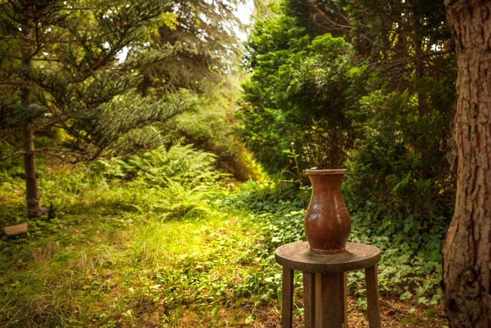 Garden in KrakowHouse