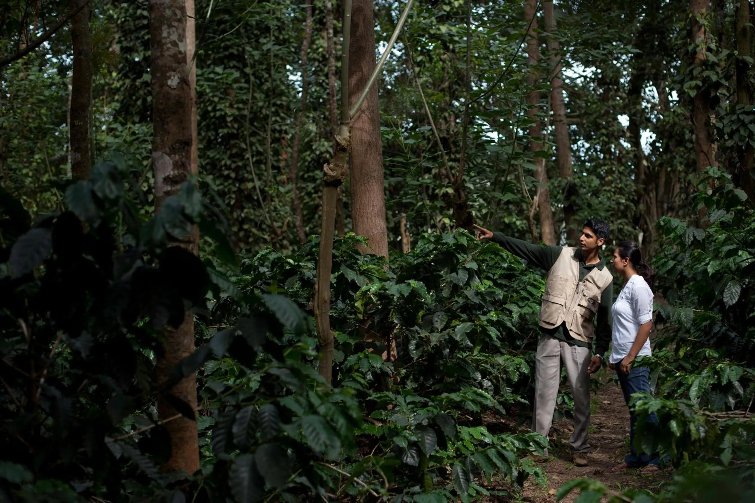 Guests in The Serai Chickmagalur