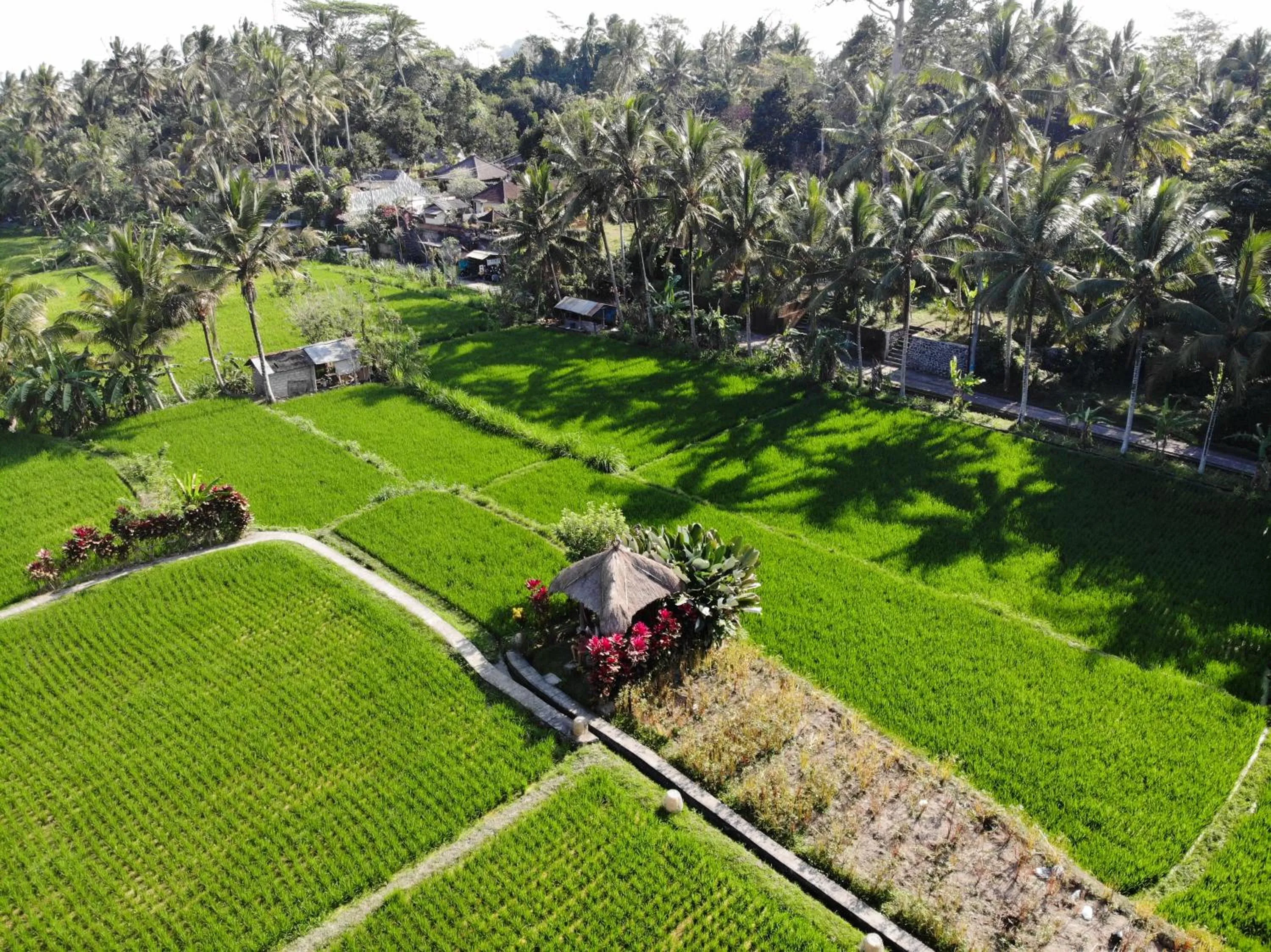 Natural landscape in MATHIS Retreat Ubud