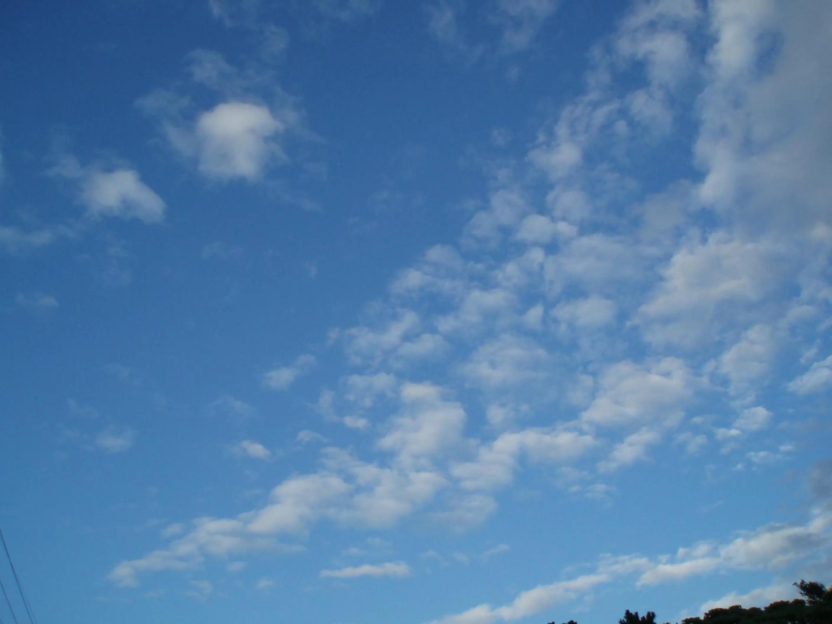 Other in Nagura Village