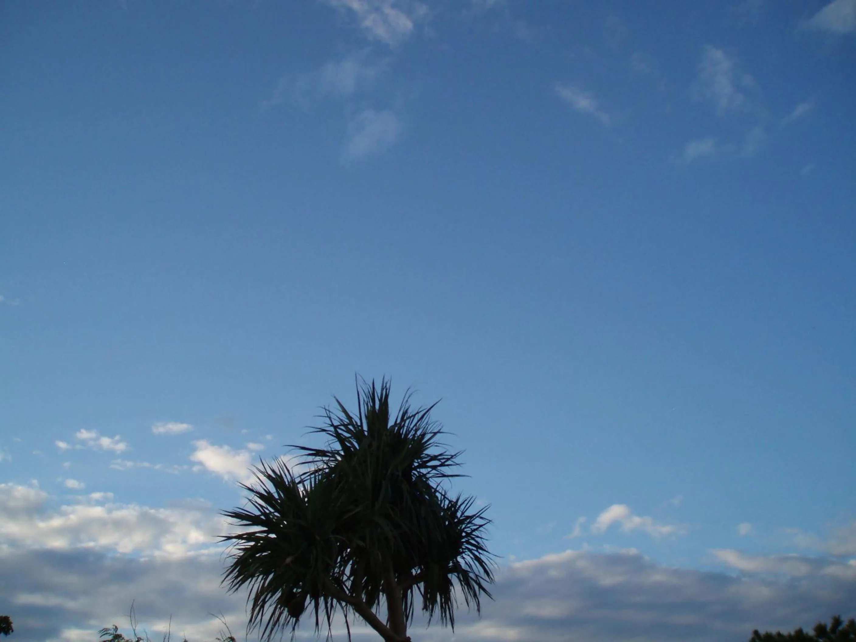 Other in Nagura Village