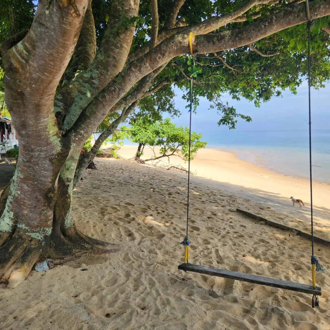 Sea view in Coral Reef Holidays