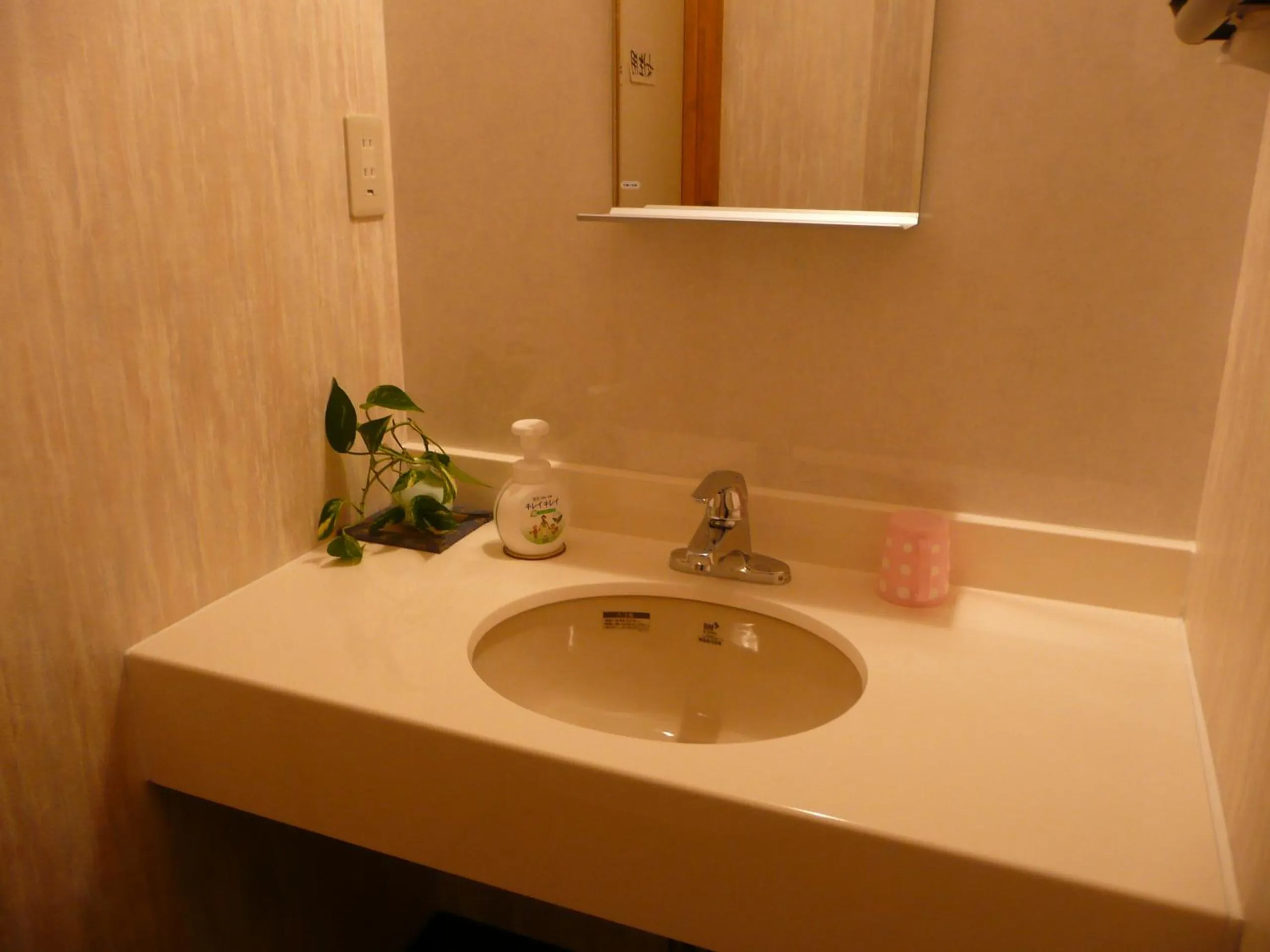 Bathroom in Seisenso