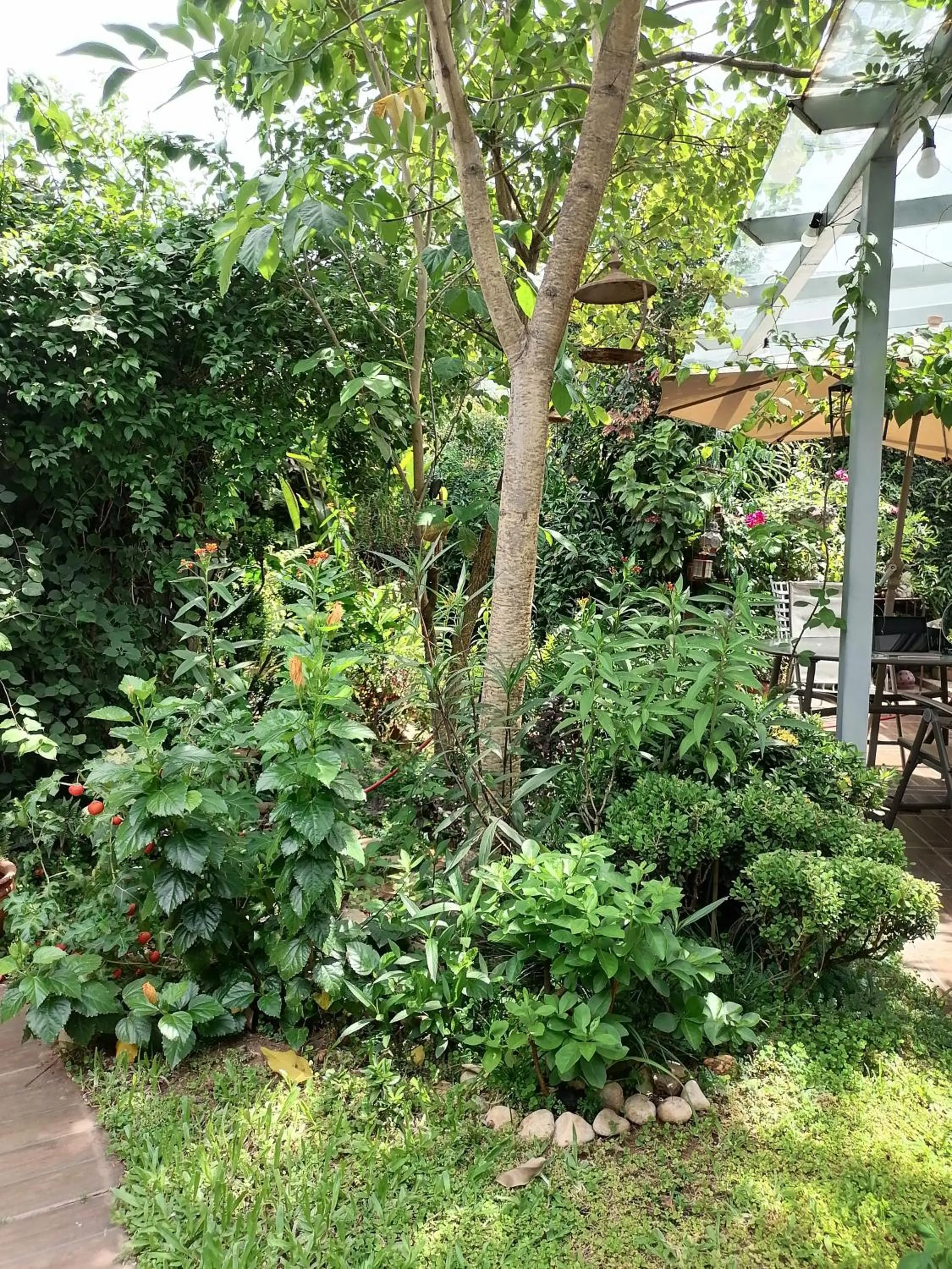 Natural landscape in Granados