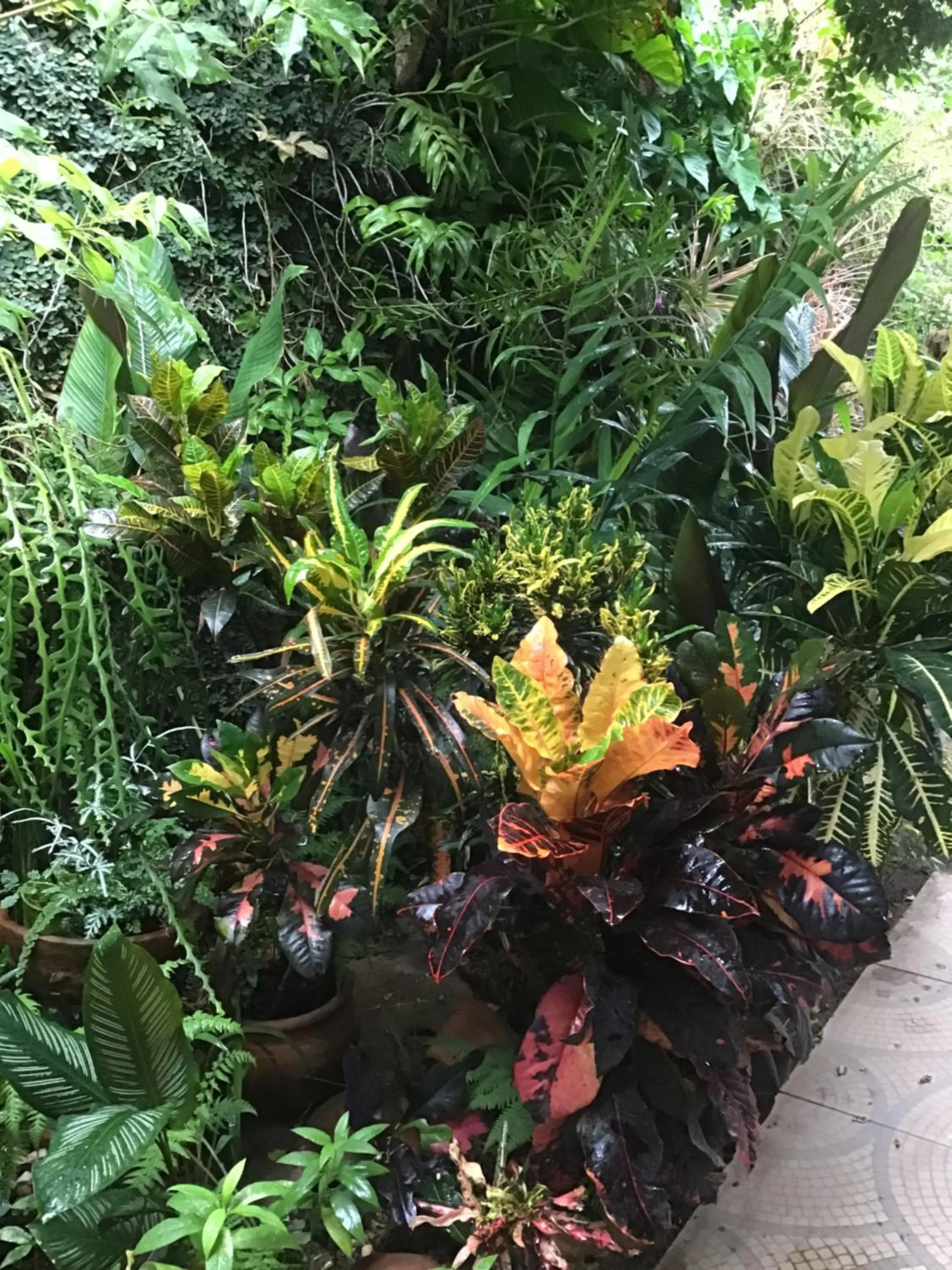 Property building in Granados