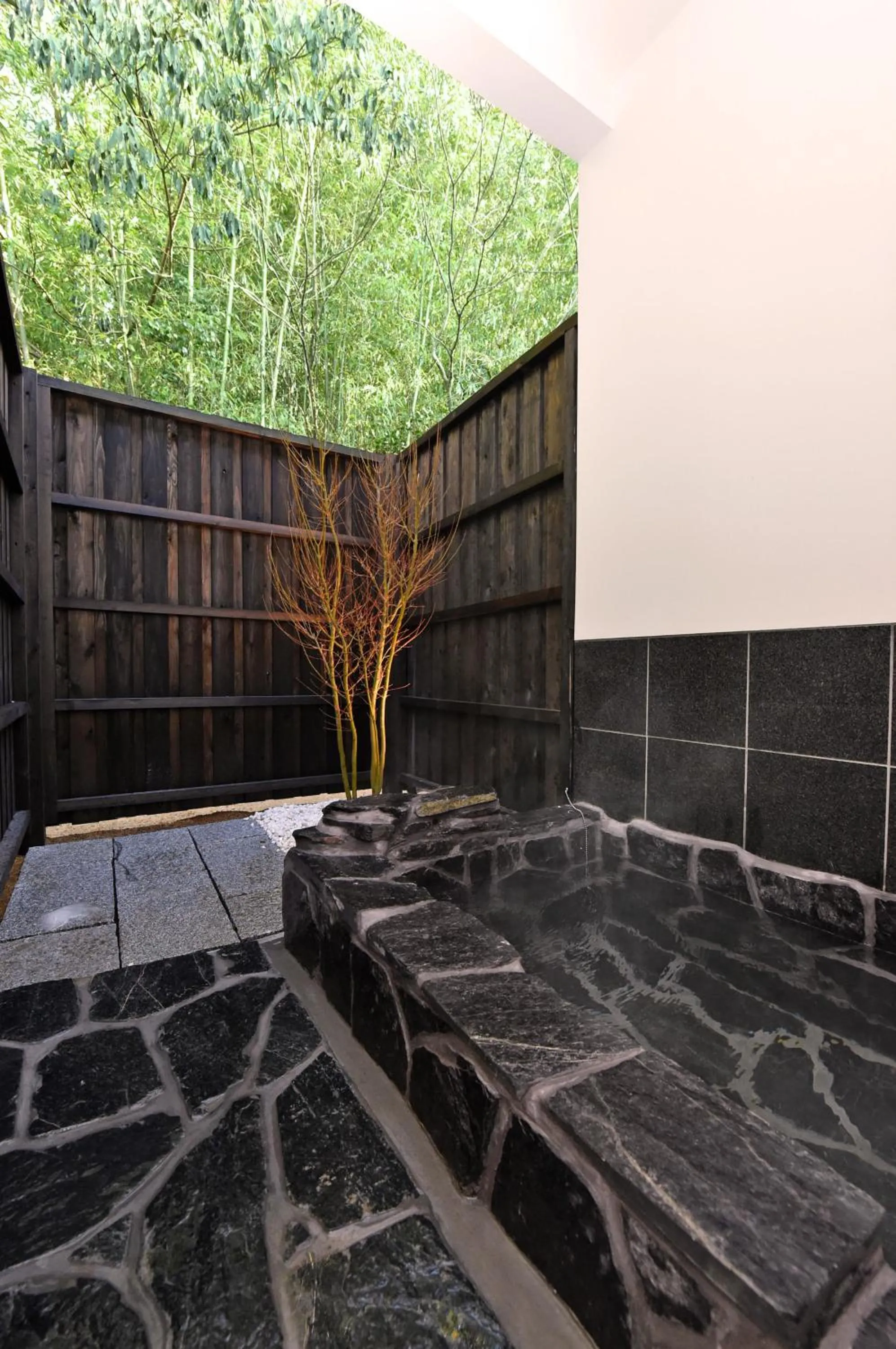 Hot Spring Bath in Hinata-an