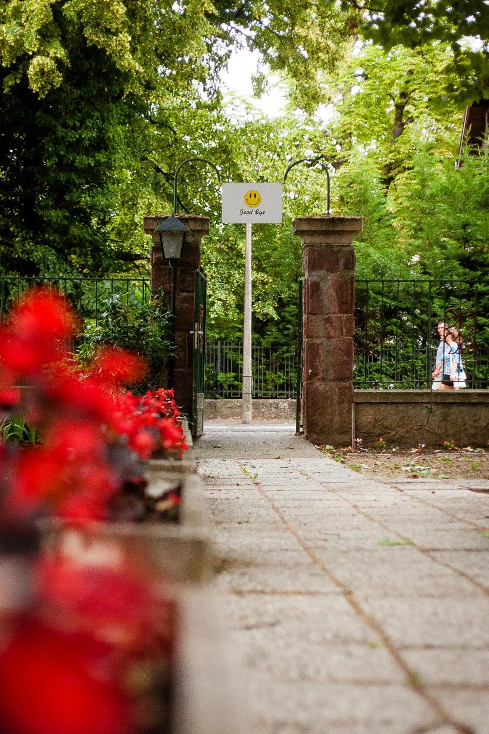 Garden in Hotel Carpe Diem
