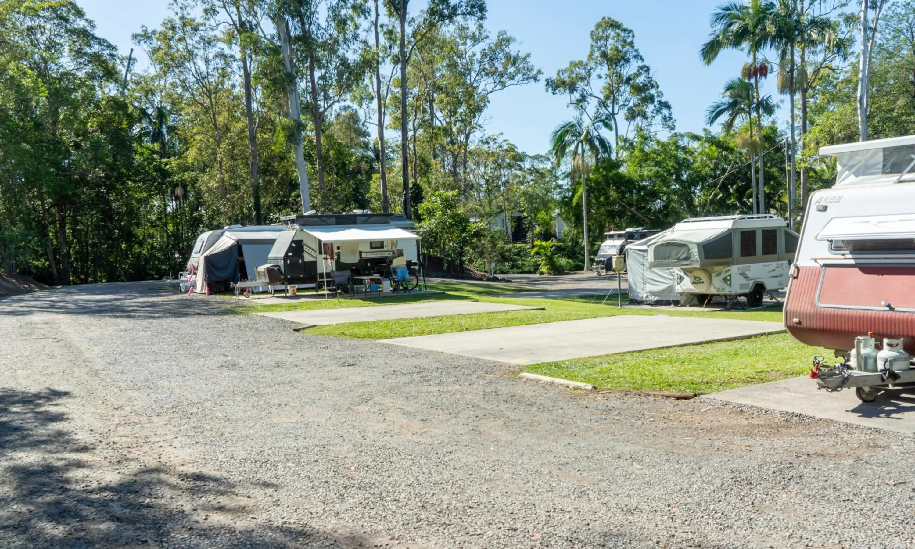 Natural landscape in Landsborough Holiday Park