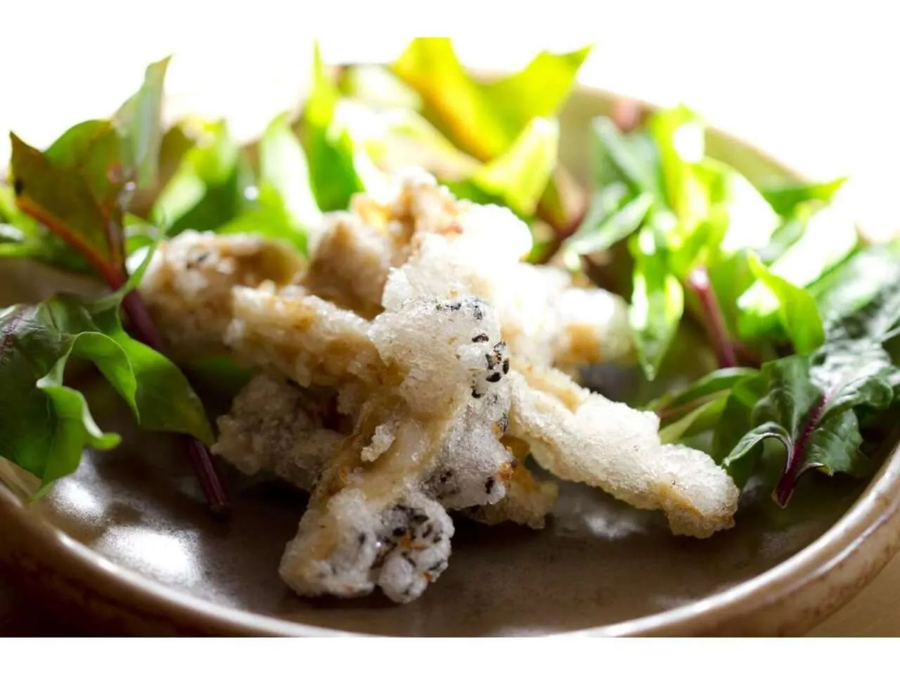 Food in Yugawara Retreat Goen no Mori