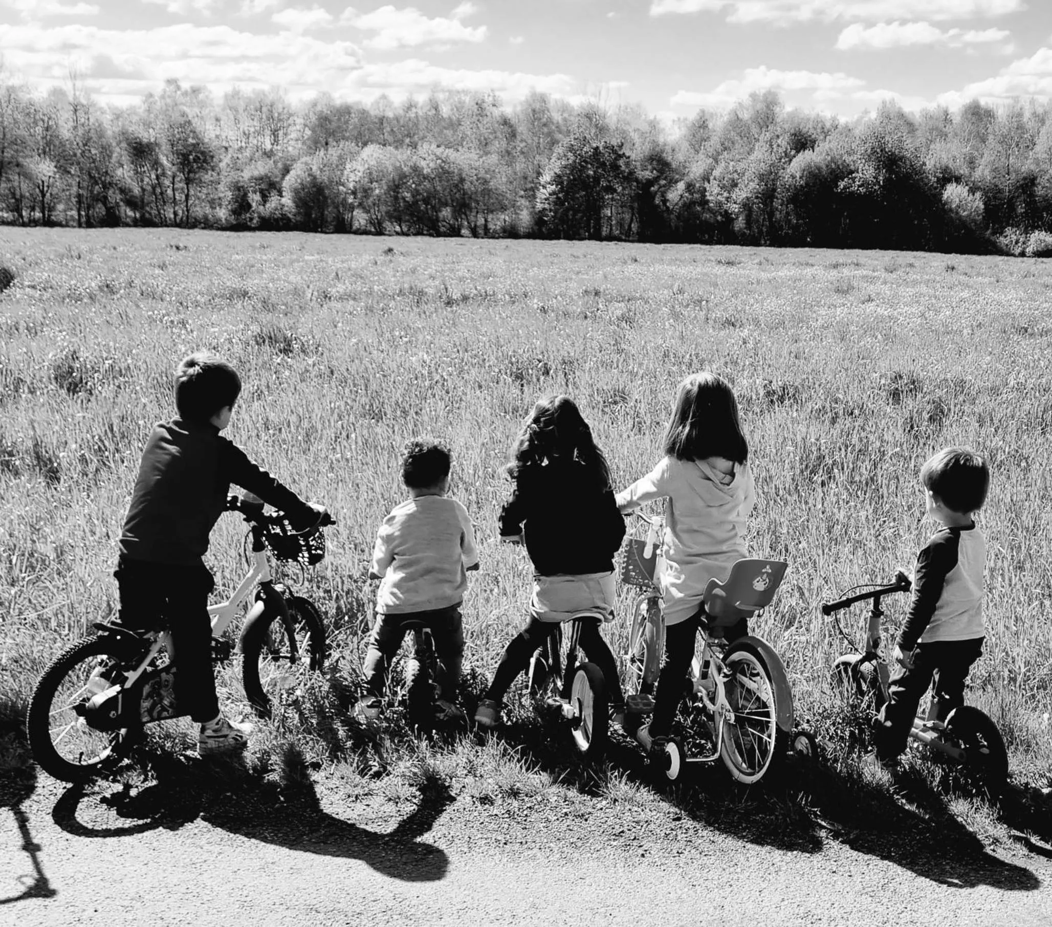Natural landscape in Hôtel Compostelle