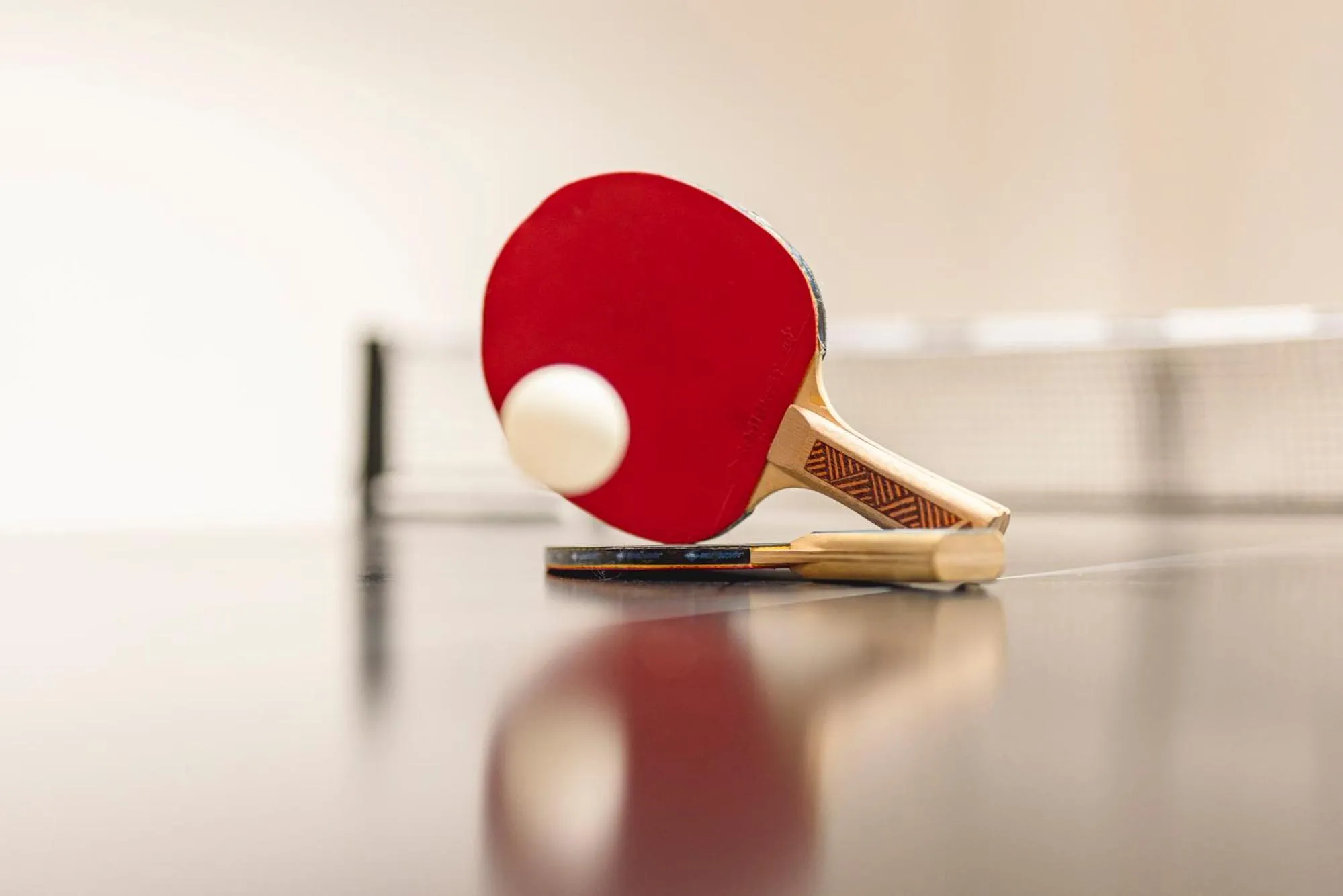 Table tennis in Alpenpension Pfurtscheller