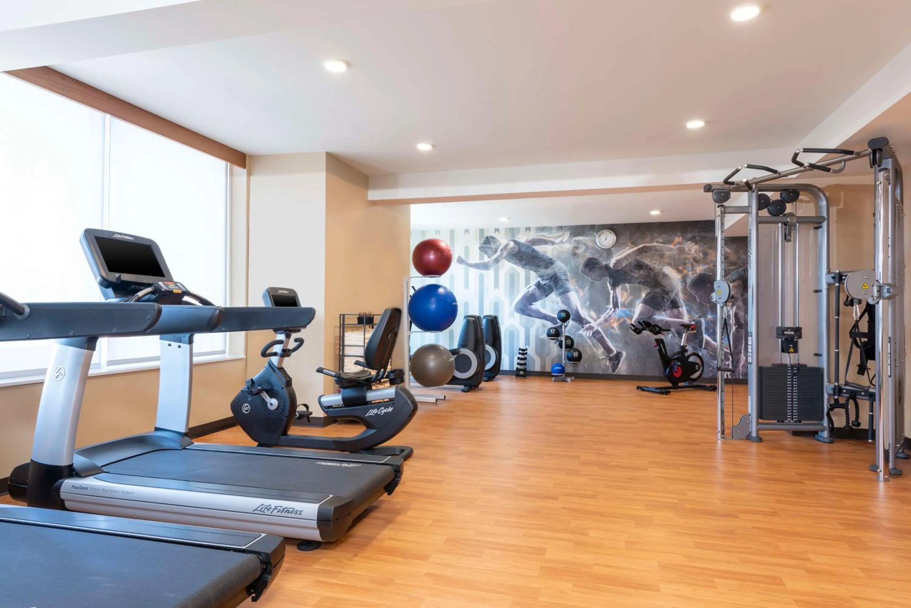 Fitness centre/facilities in Hyatt Place Detroit/Royal Oak