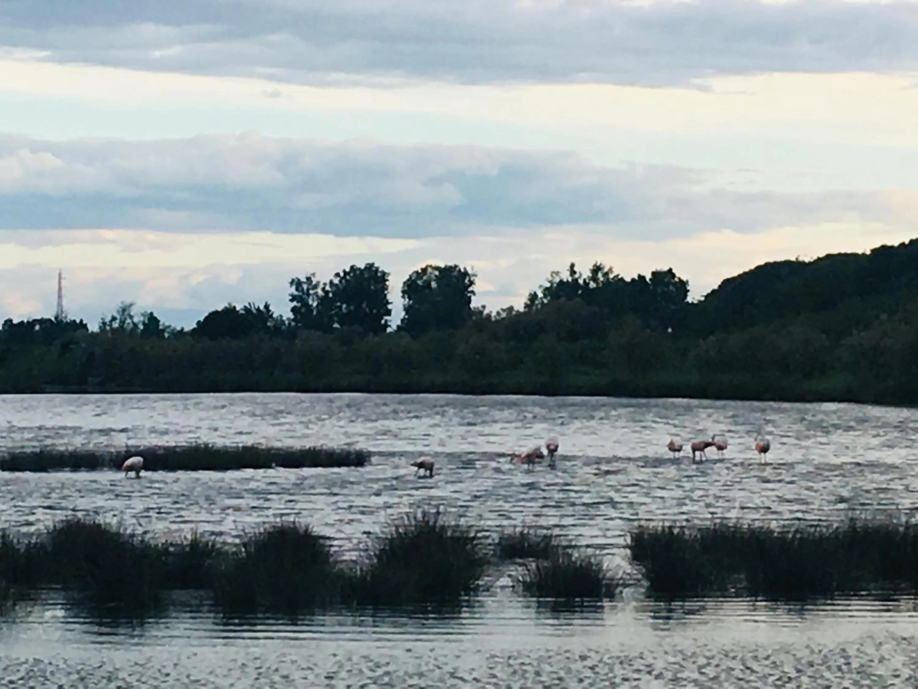 Activities in Michelangelo Holiday & Family Resort