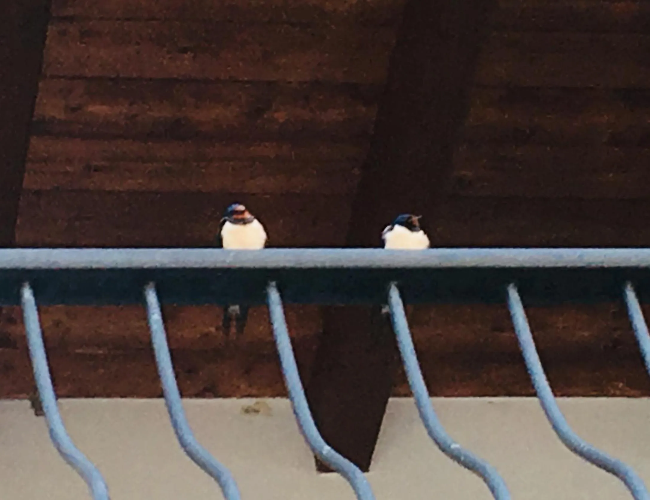 Spring in Michelangelo Holiday & Family Resort