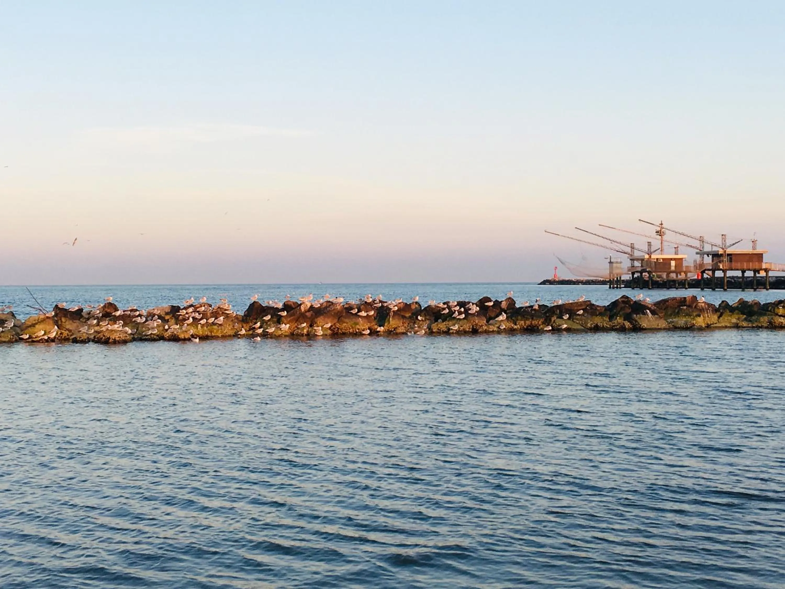 Beach in Michelangelo Holiday & Family Resort