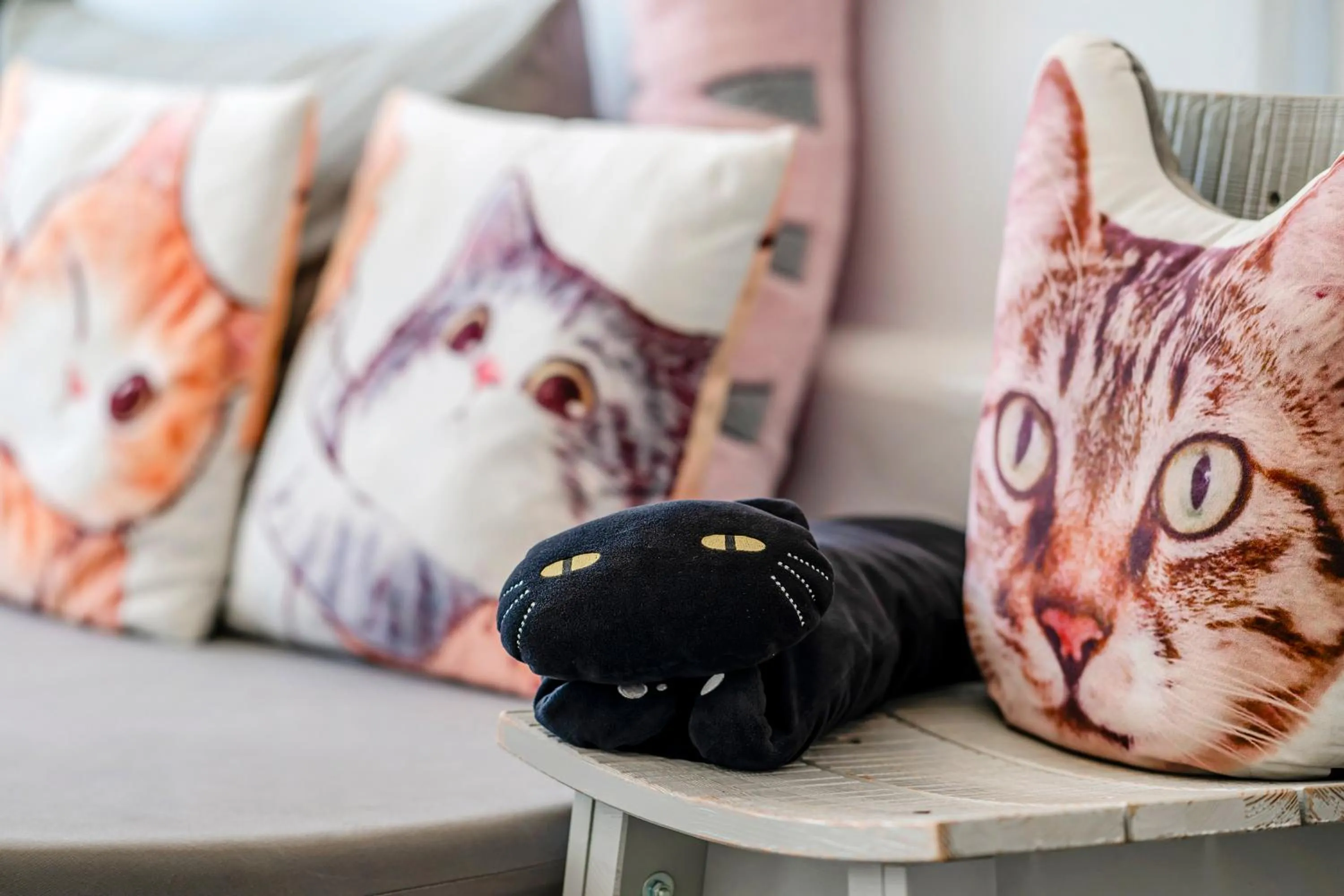 Decorative detail in Cat at Greece