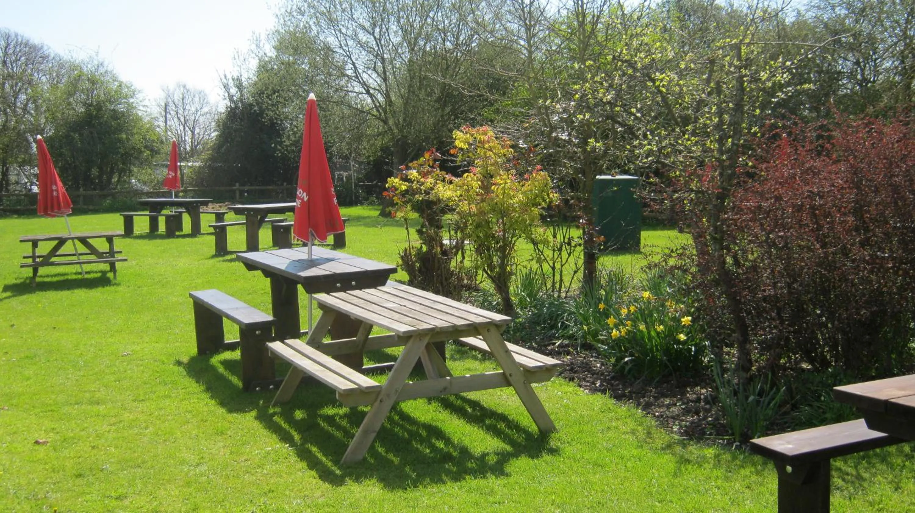 Garden in Turfcutters Arms