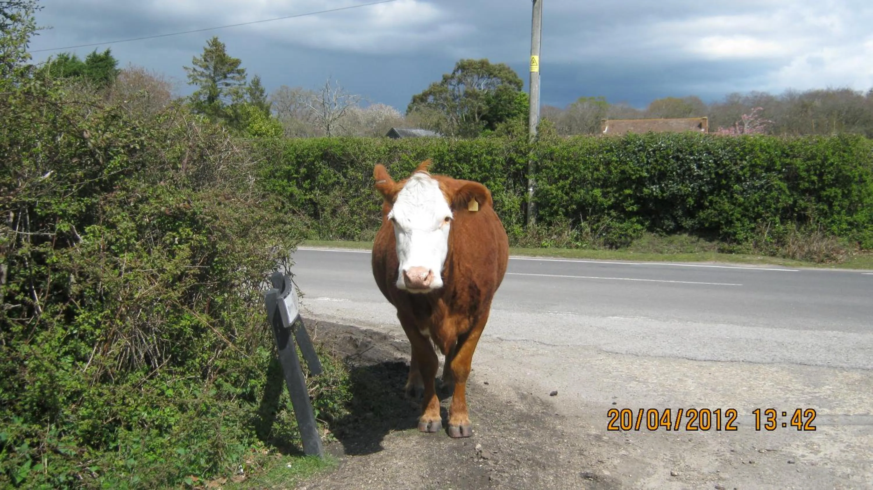Area and facilities in Turfcutters Arms
