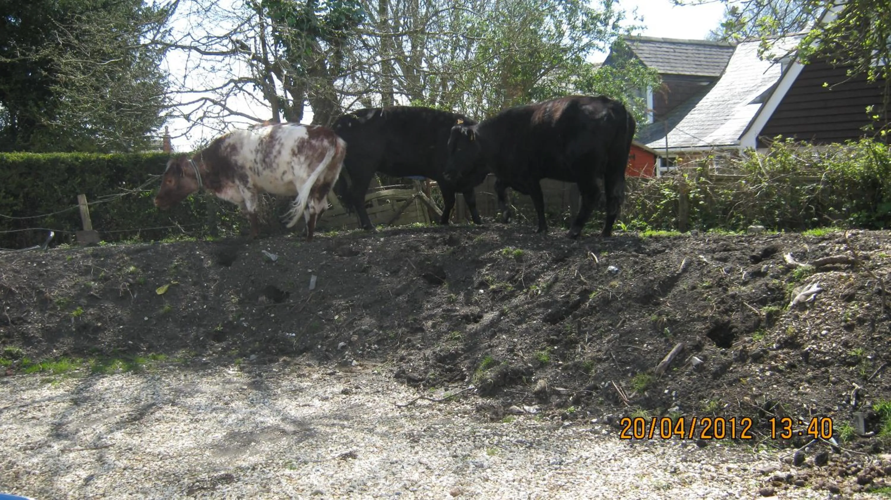 People in Turfcutters Arms