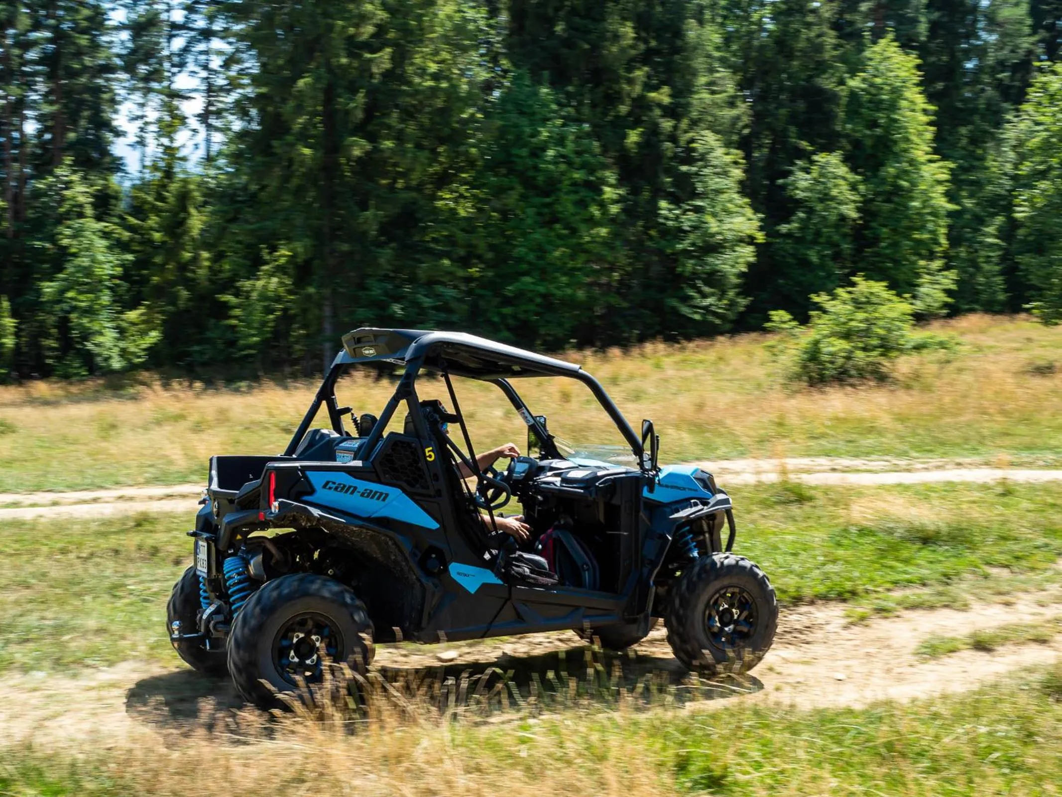 Activities in Hotel Liptakówka