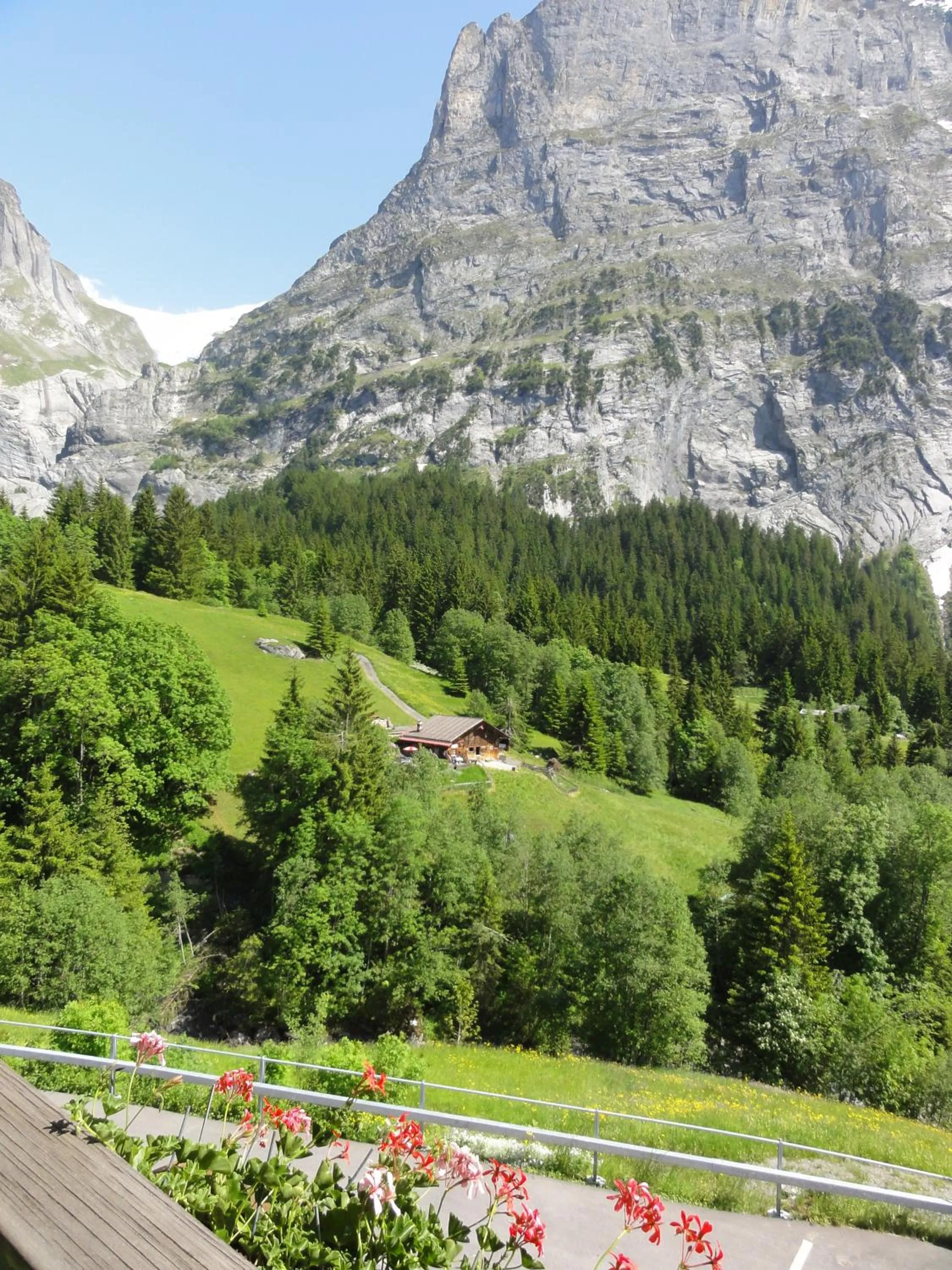 View (from property/room) in Hotel Blümlisalp