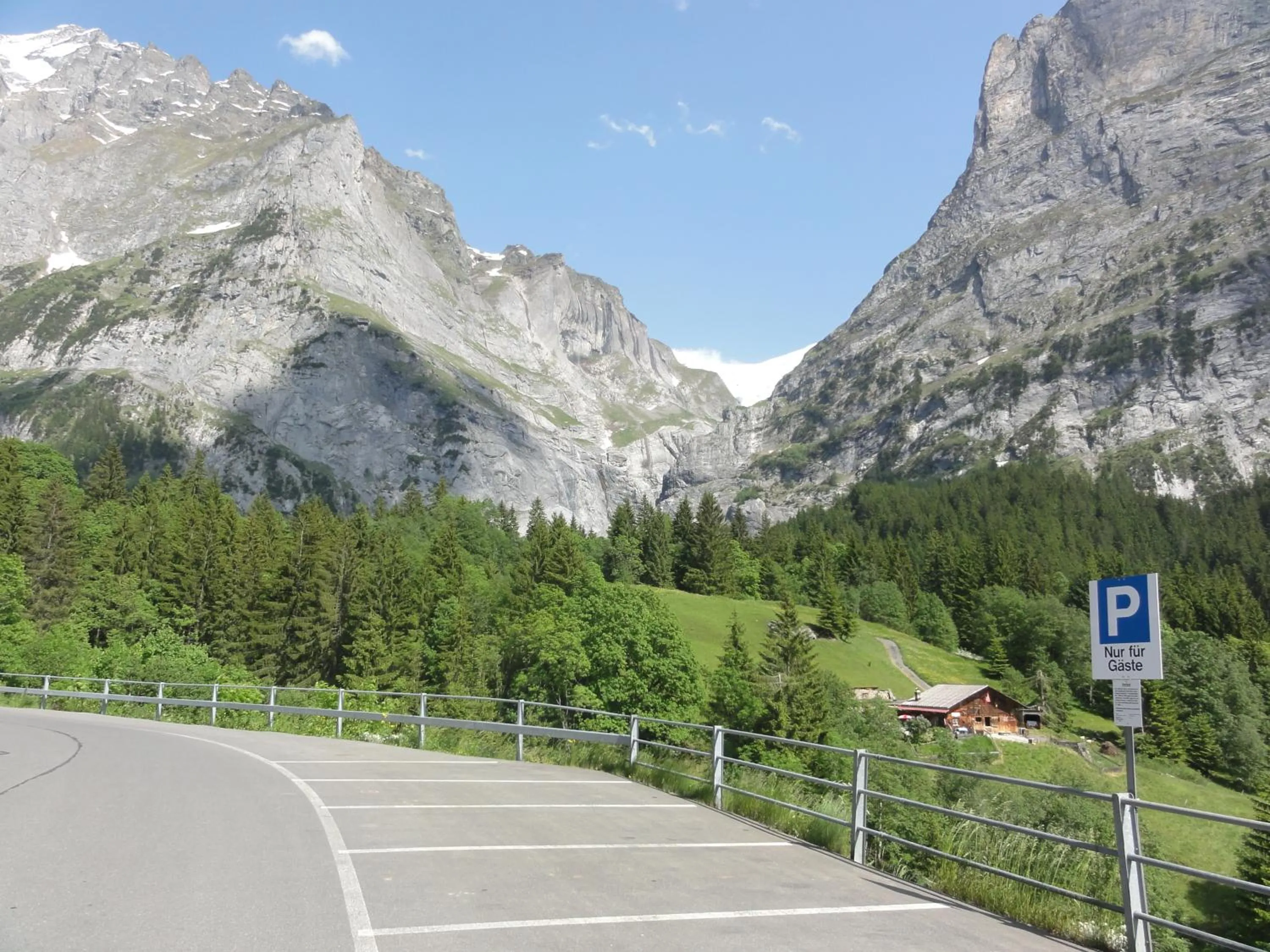 Area and facilities in Hotel Blümlisalp