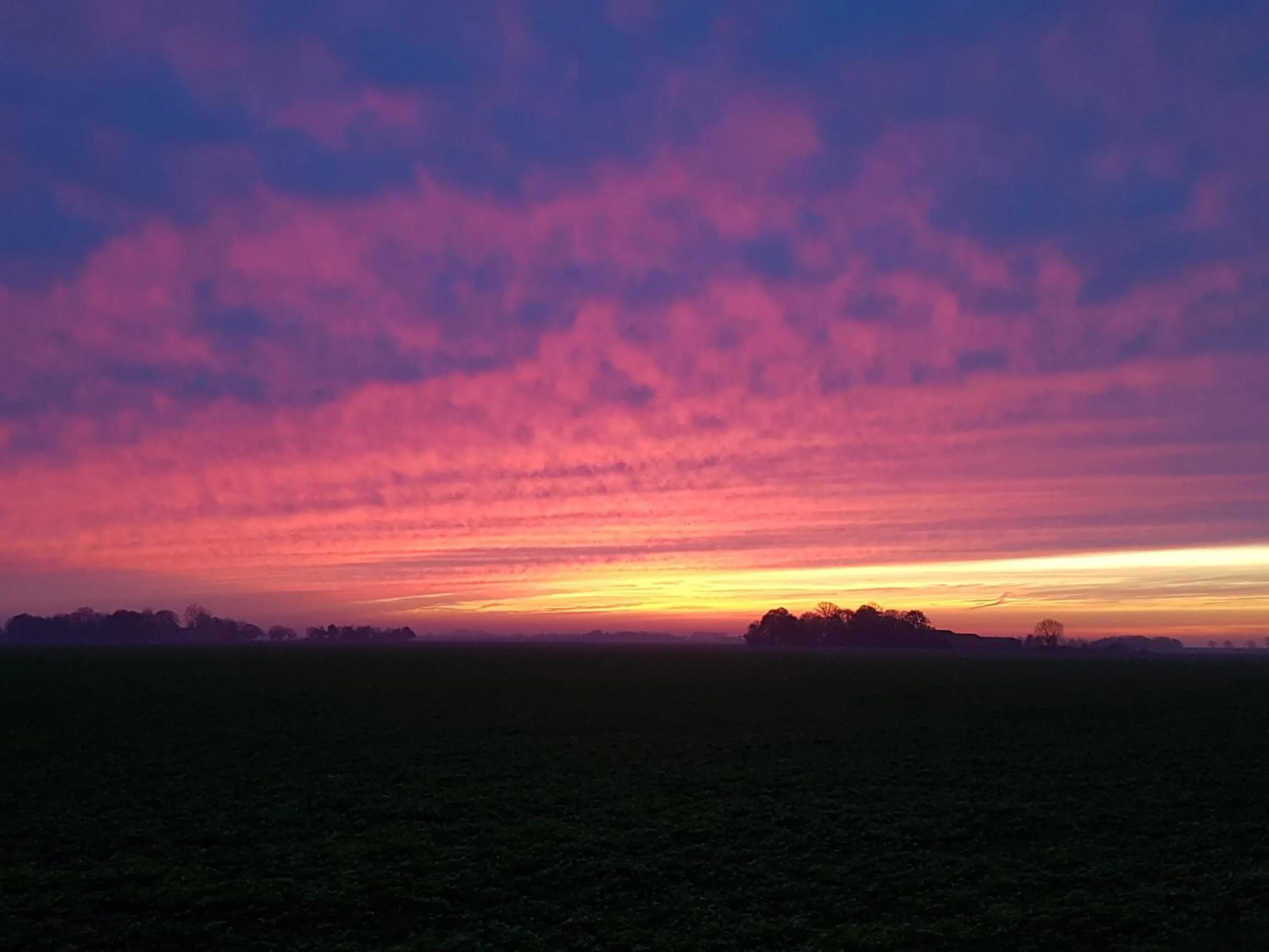 View (from property/room) in Bed & Breakfast Rheiderland