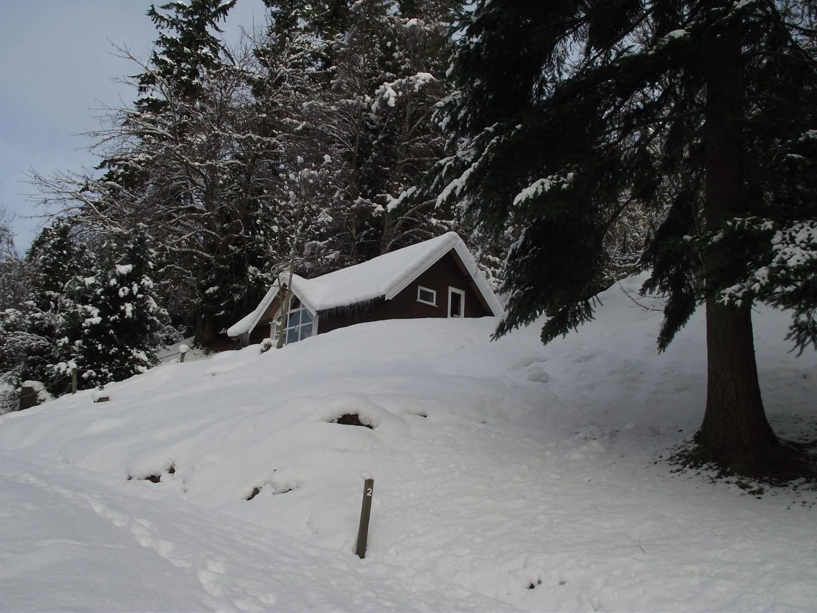 Winter in The Four Seasons Hotel