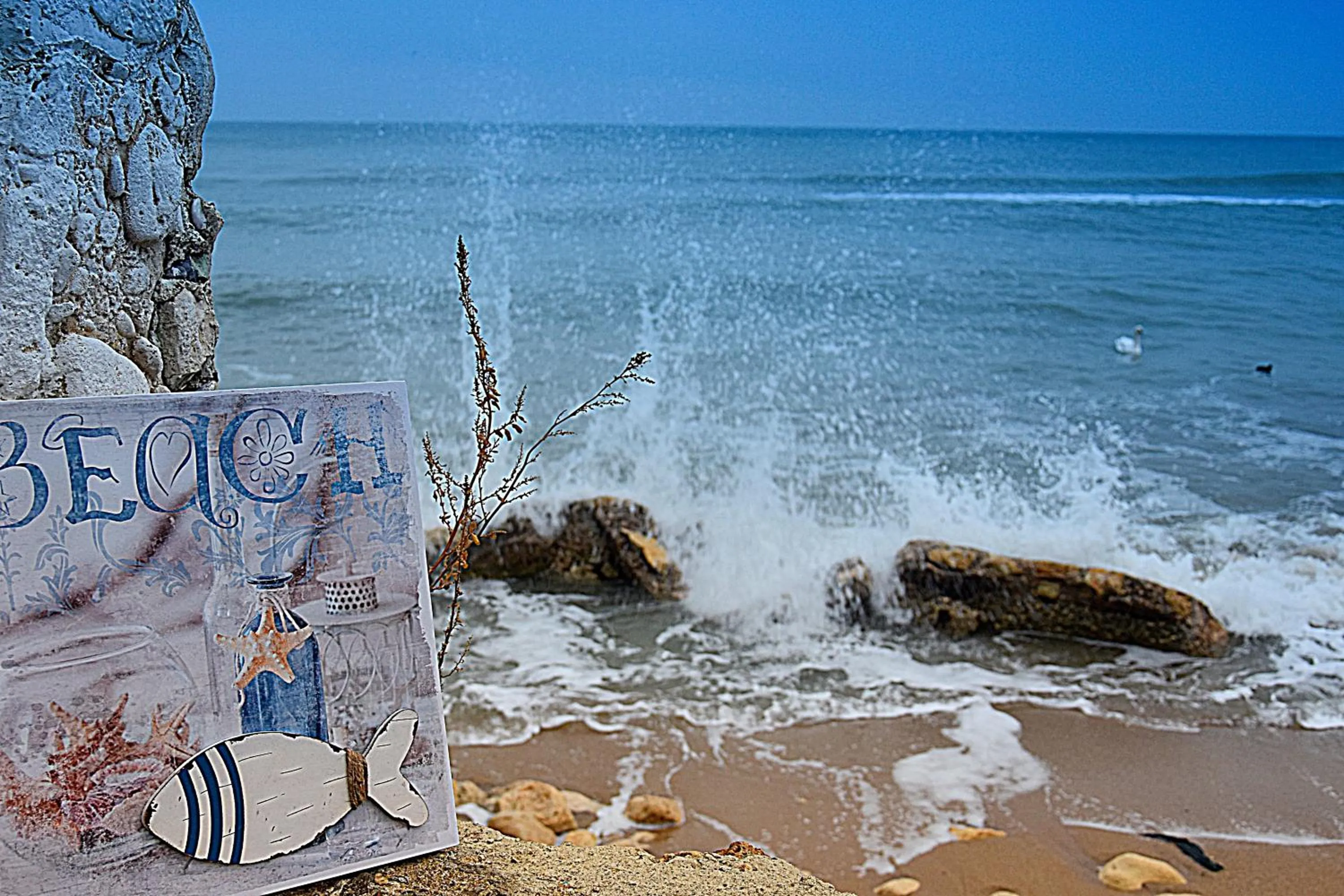 Day in Hotel Toro Negro