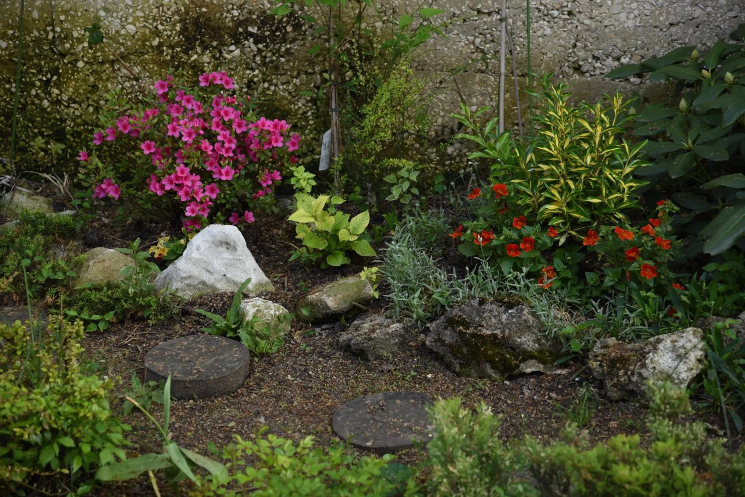 Decorative detail in Hotel Toro Negro