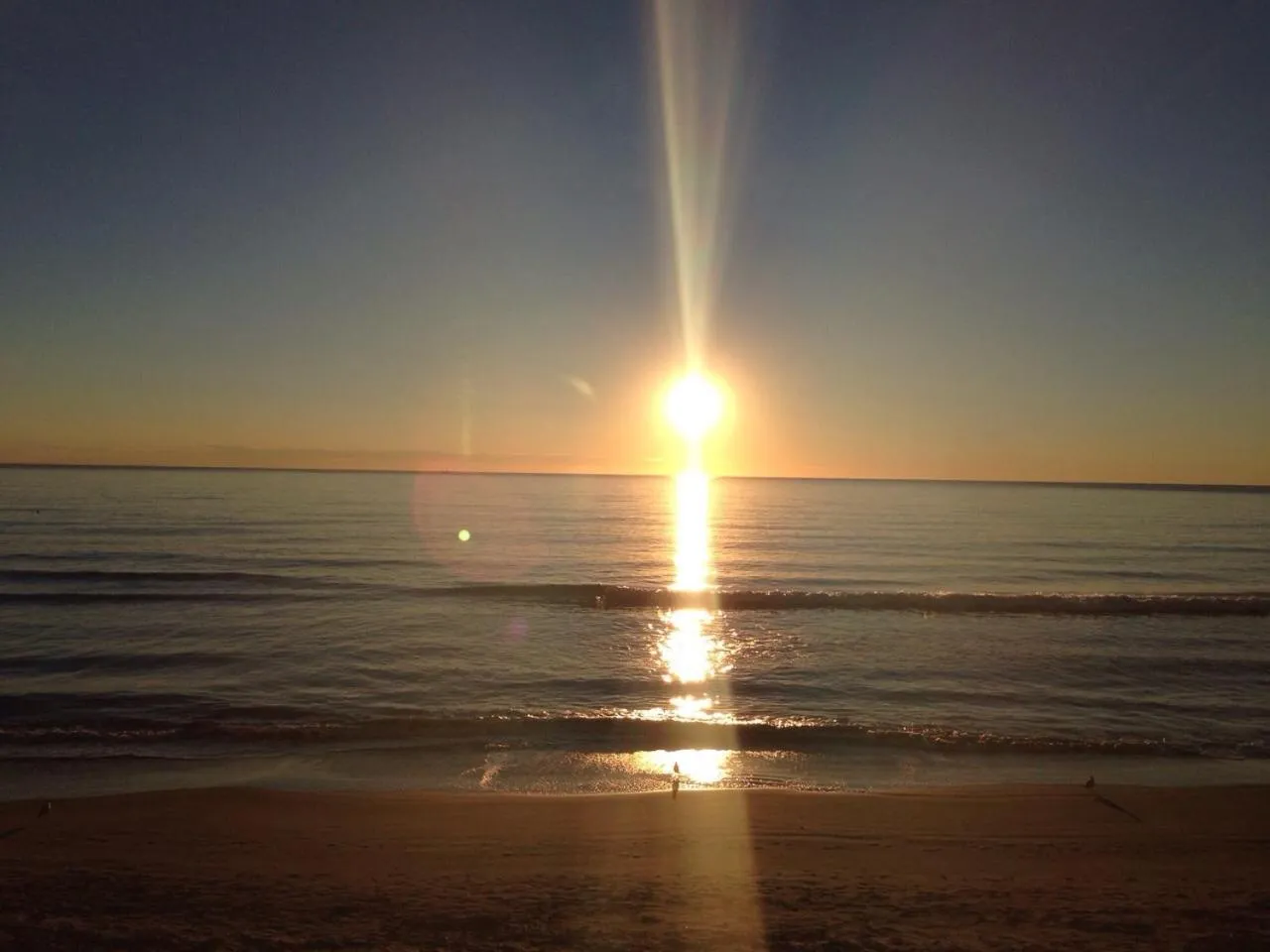 Natural landscape in Hotel Mambo