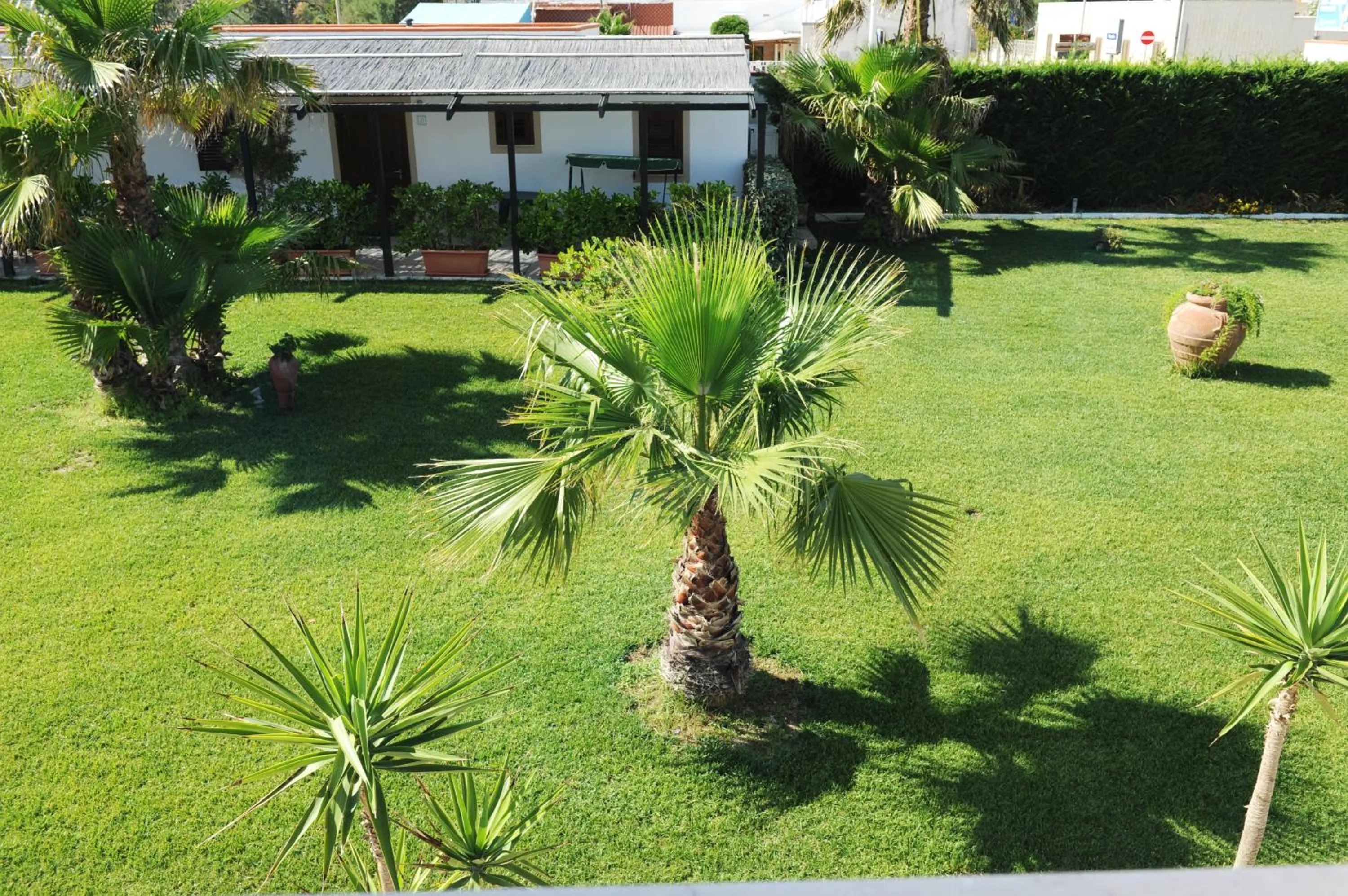 Spring in Lido Impero