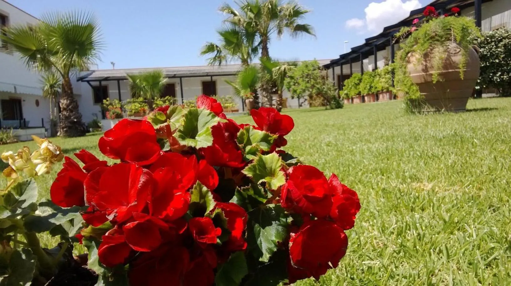 Property building in Lido Impero