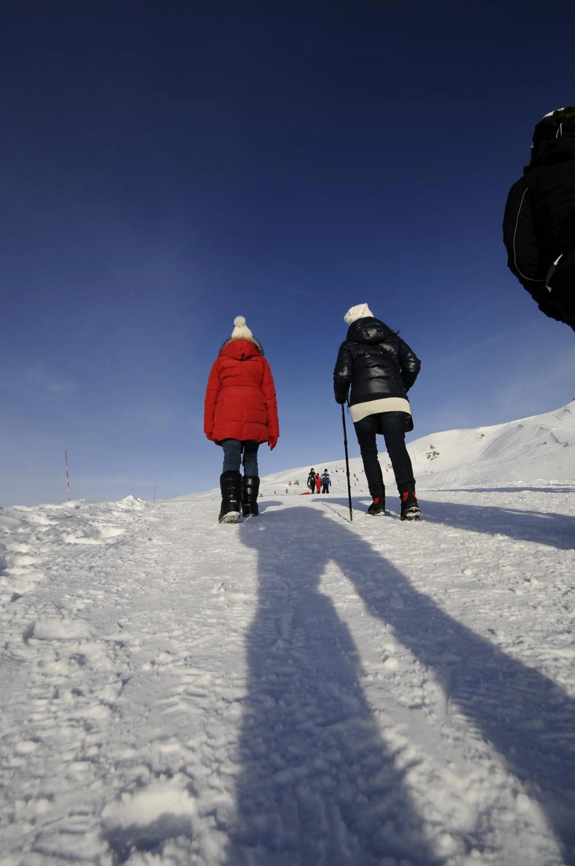 Skiing in Albergo Legazzuolo Montecampione