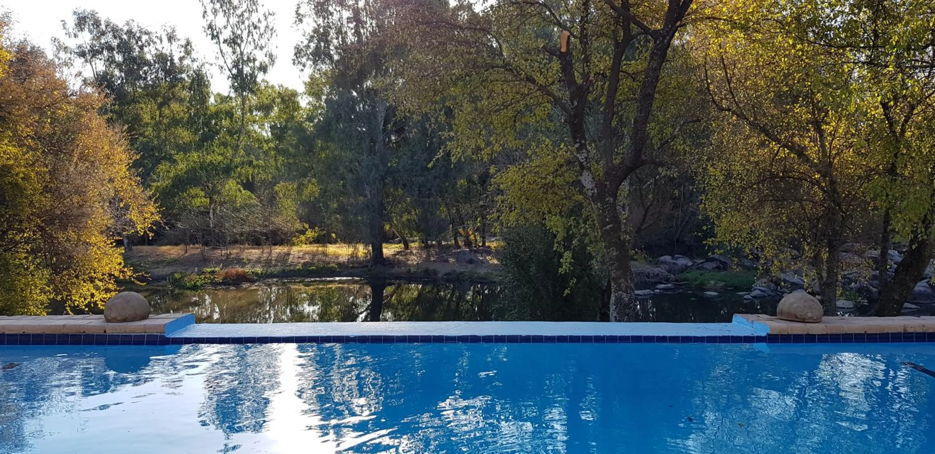 Pool view in River Rock Lodge